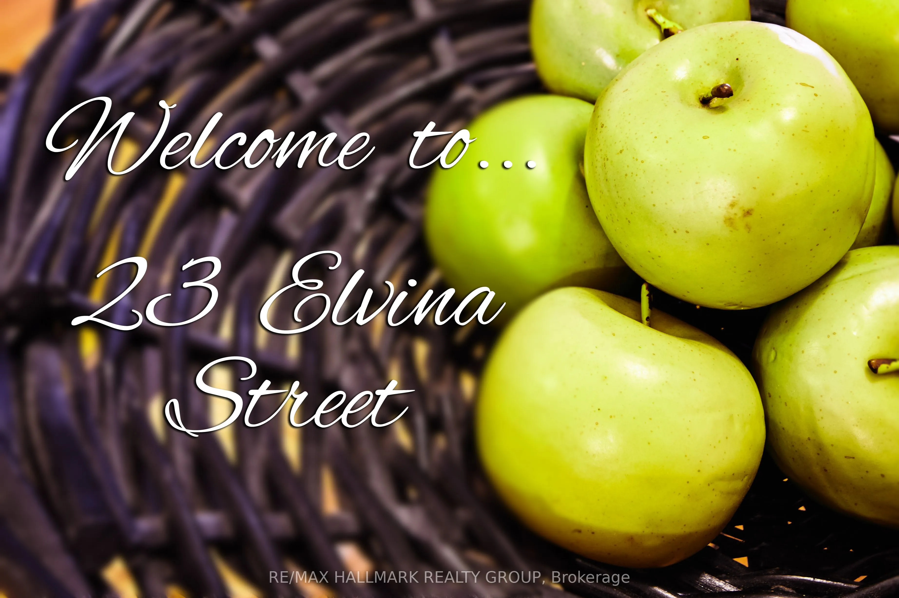 23 Elvina Street