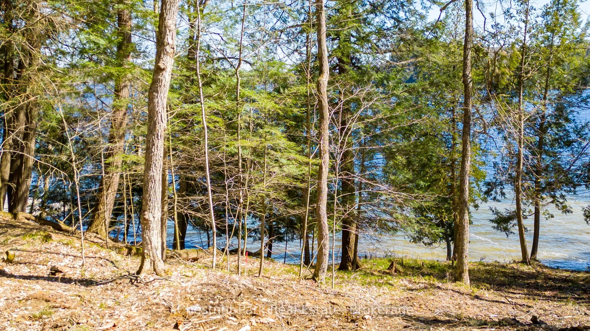 1091 OSBORNE POINT Road