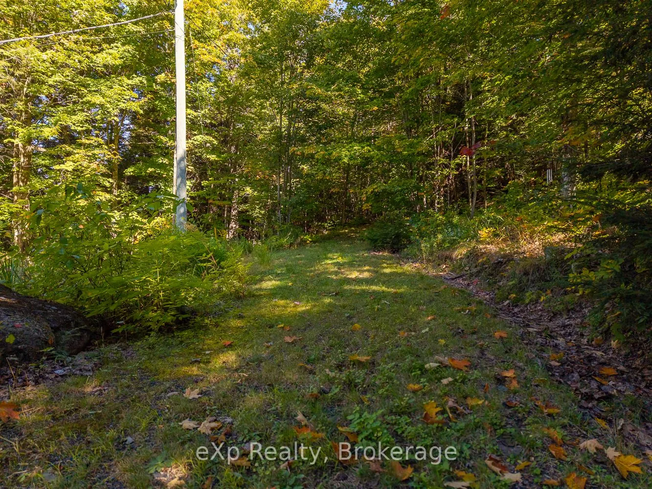 4 Fire Route 140 (Turtle Lane) Road