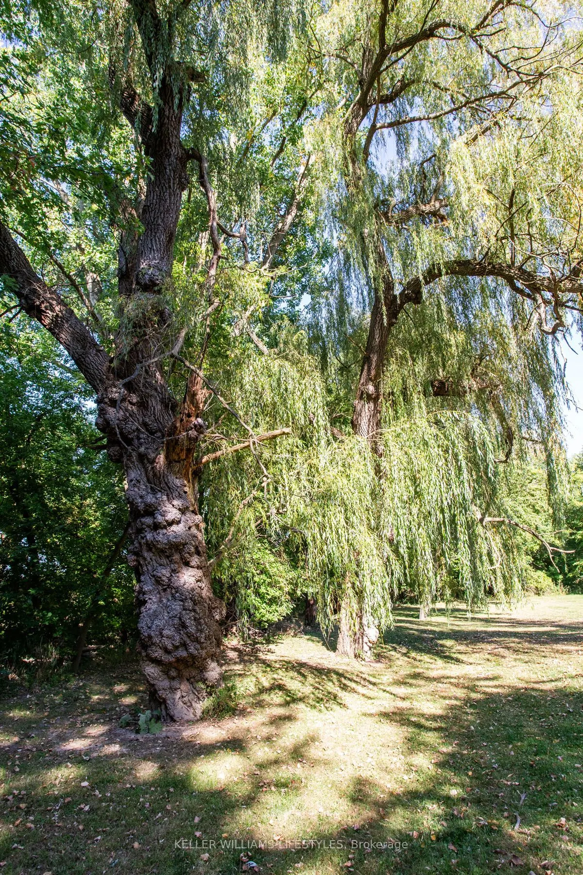 2408 Gideon Drive