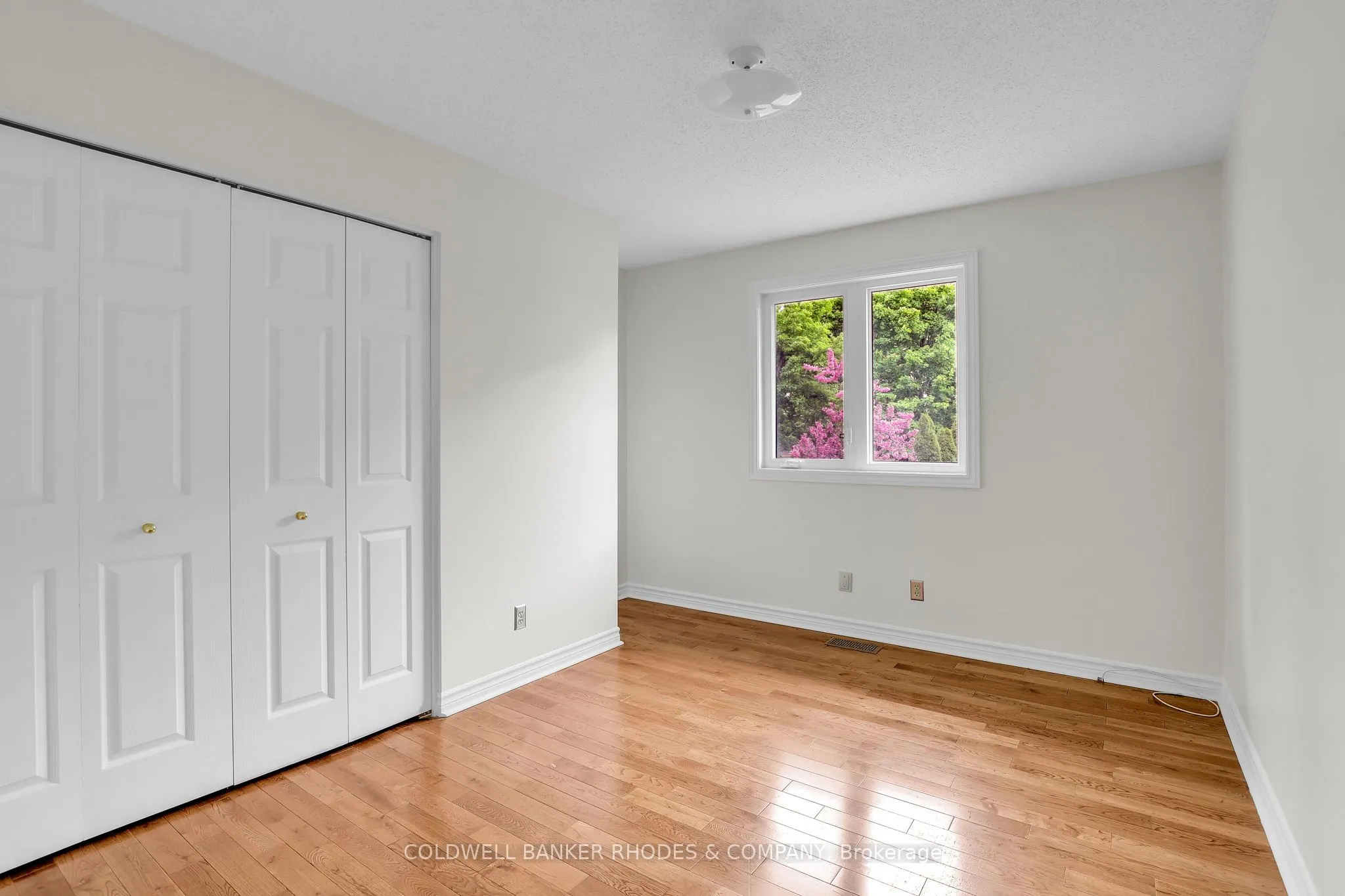 62 Beechfern Drive