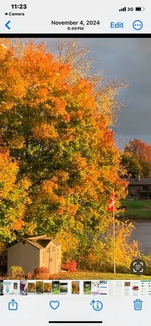 5591 Manotick Main Street