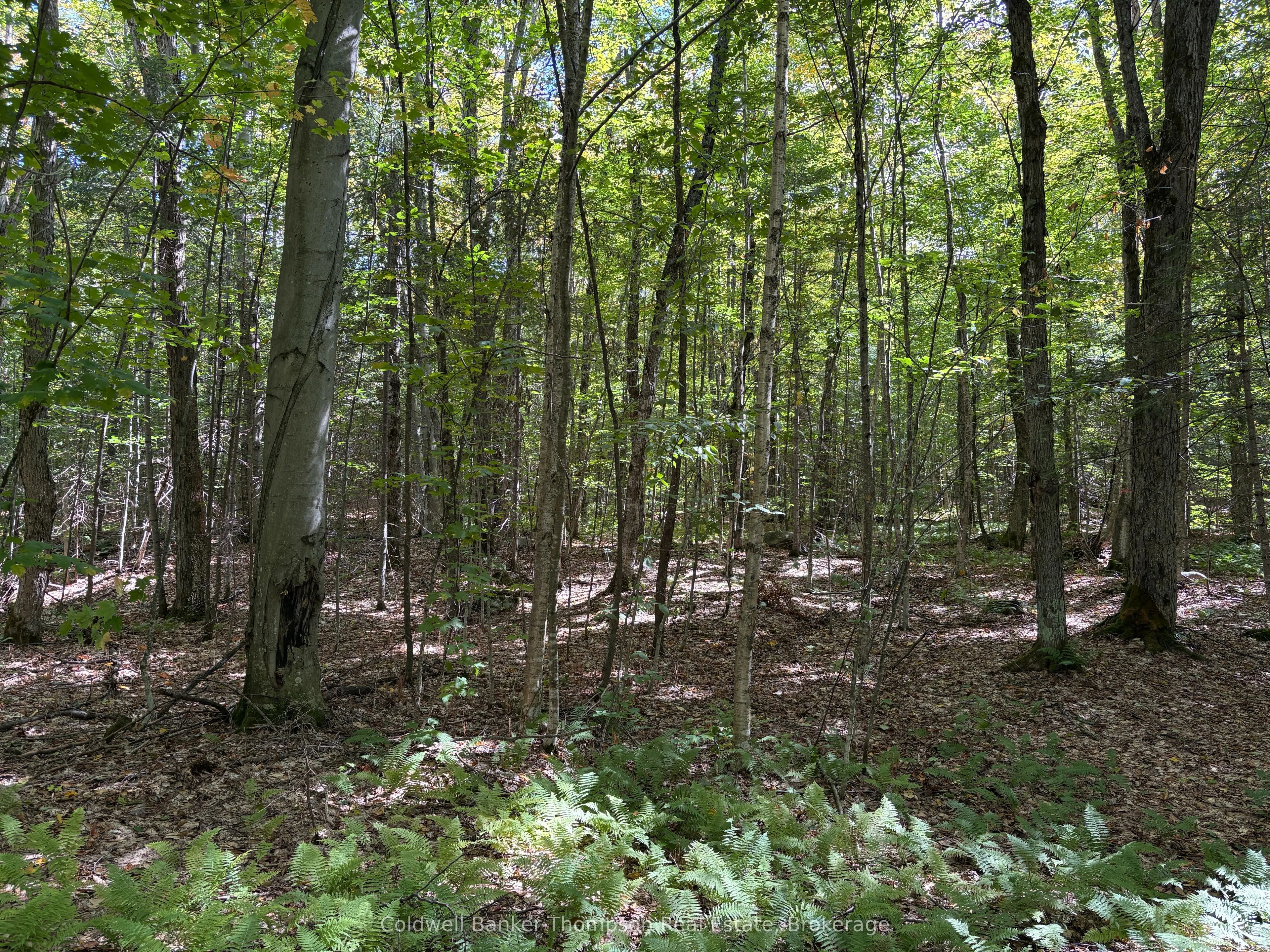 833 Hamilton Lake Road