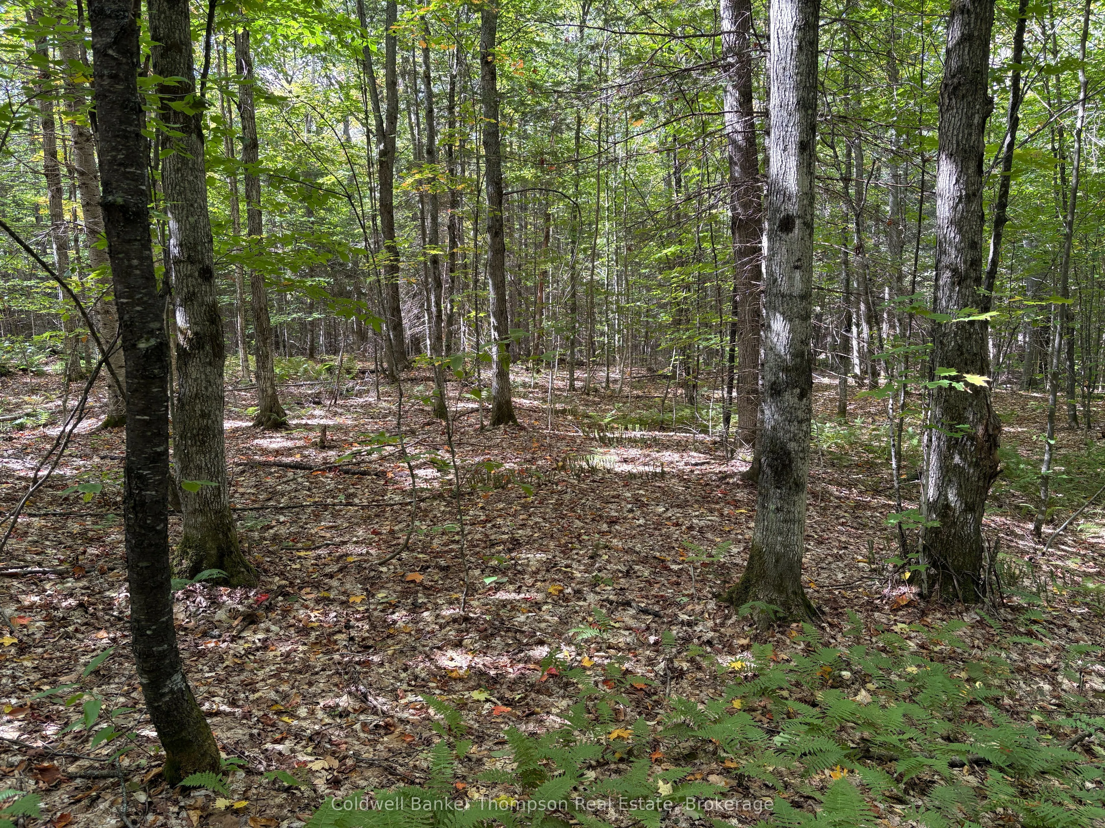833 Hamilton Lake Road