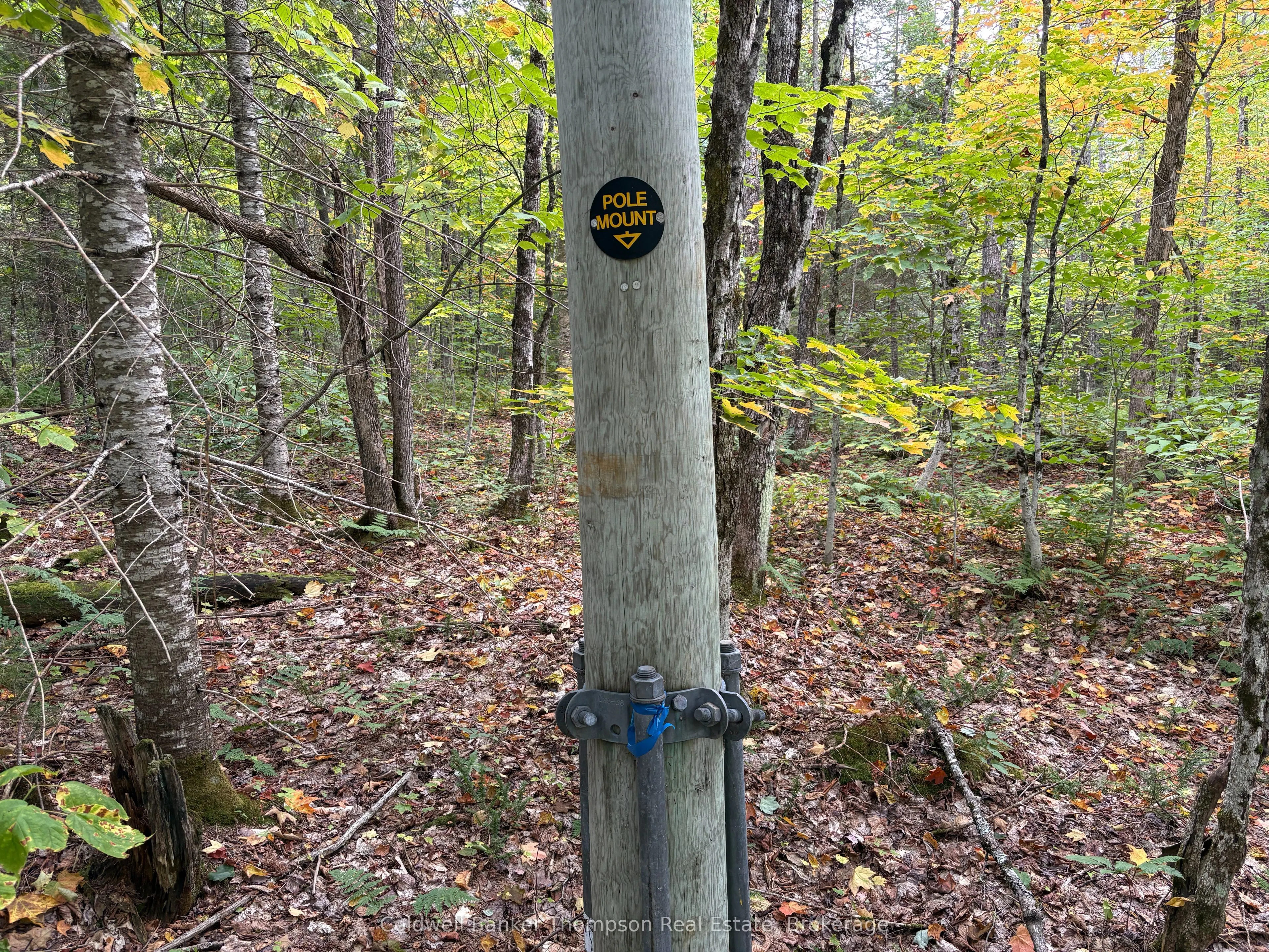 833 Hamilton Lake Road
