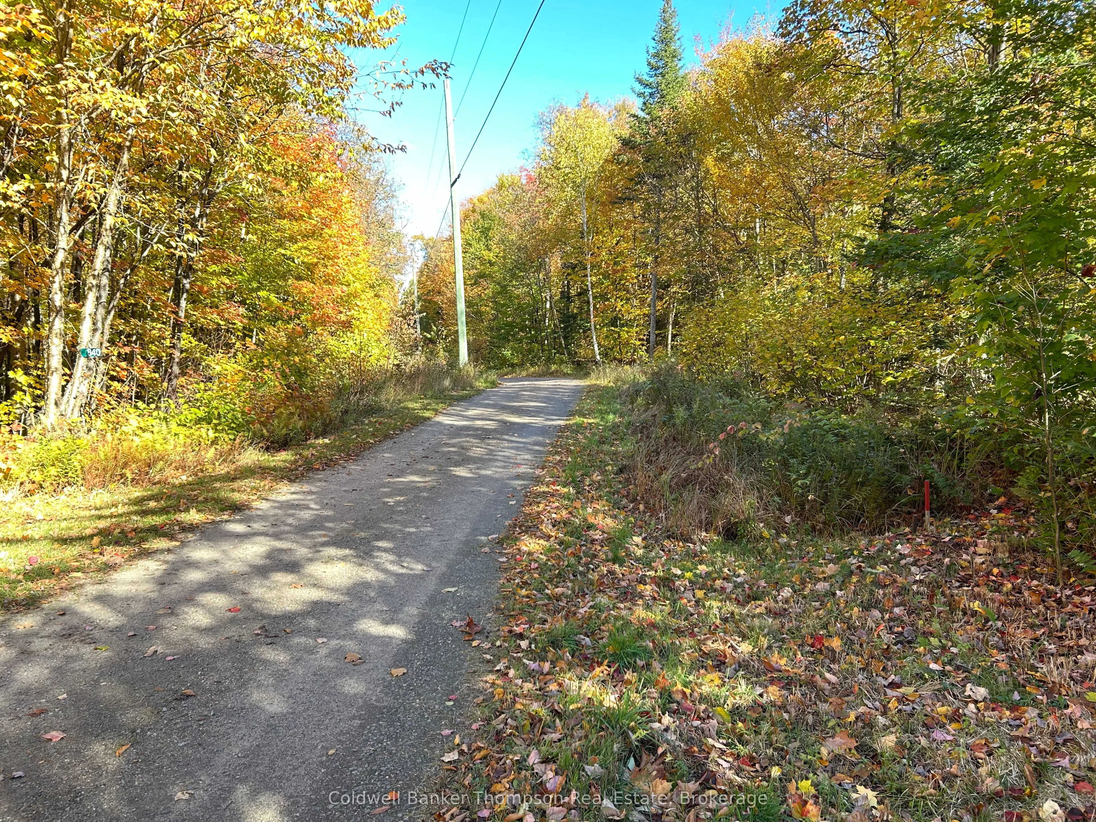 833 Hamilton Lake Road