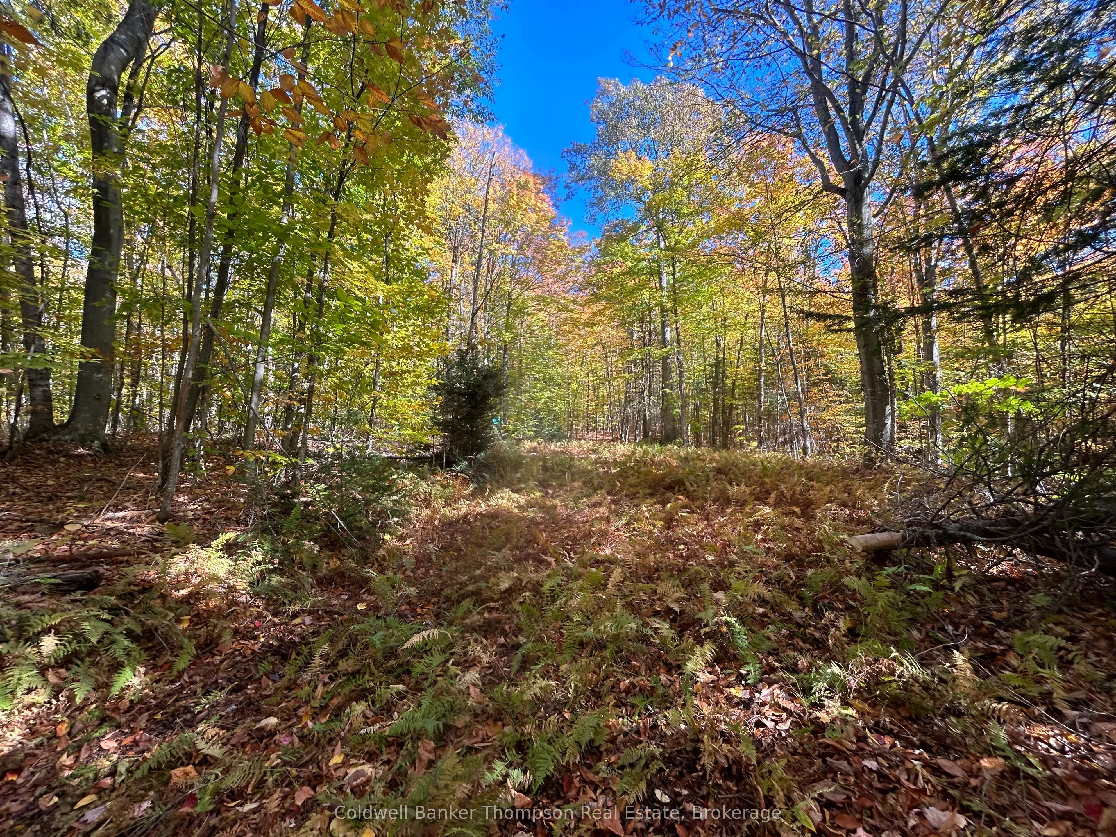 833 Hamilton Lake Road