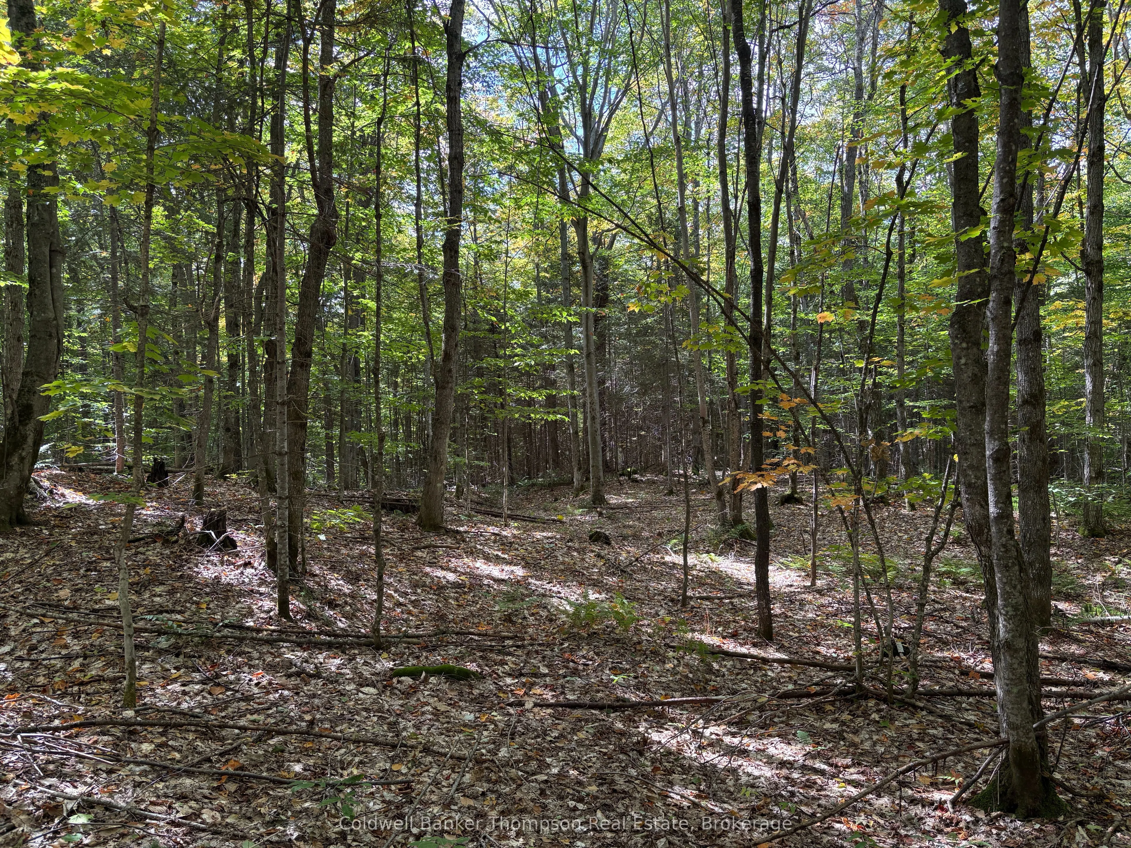 833 Hamilton Lake Road