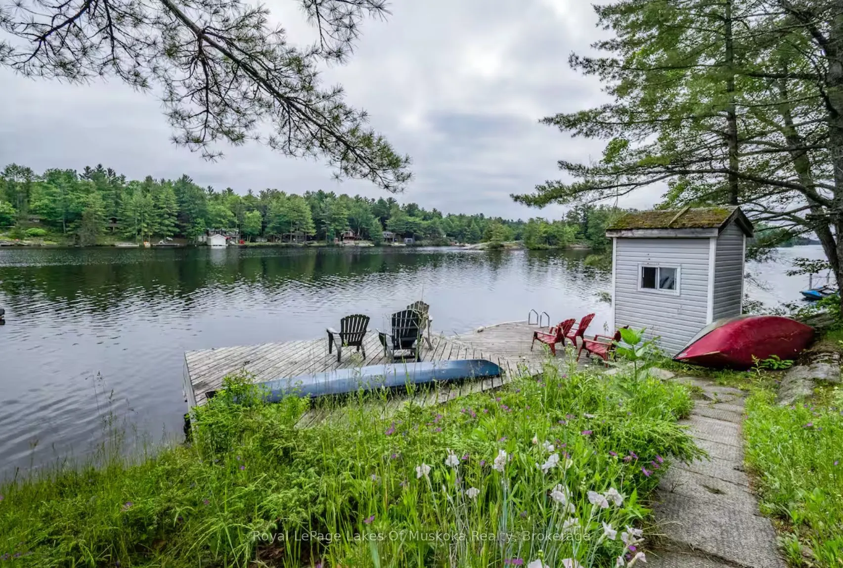 49 Pinetree Road