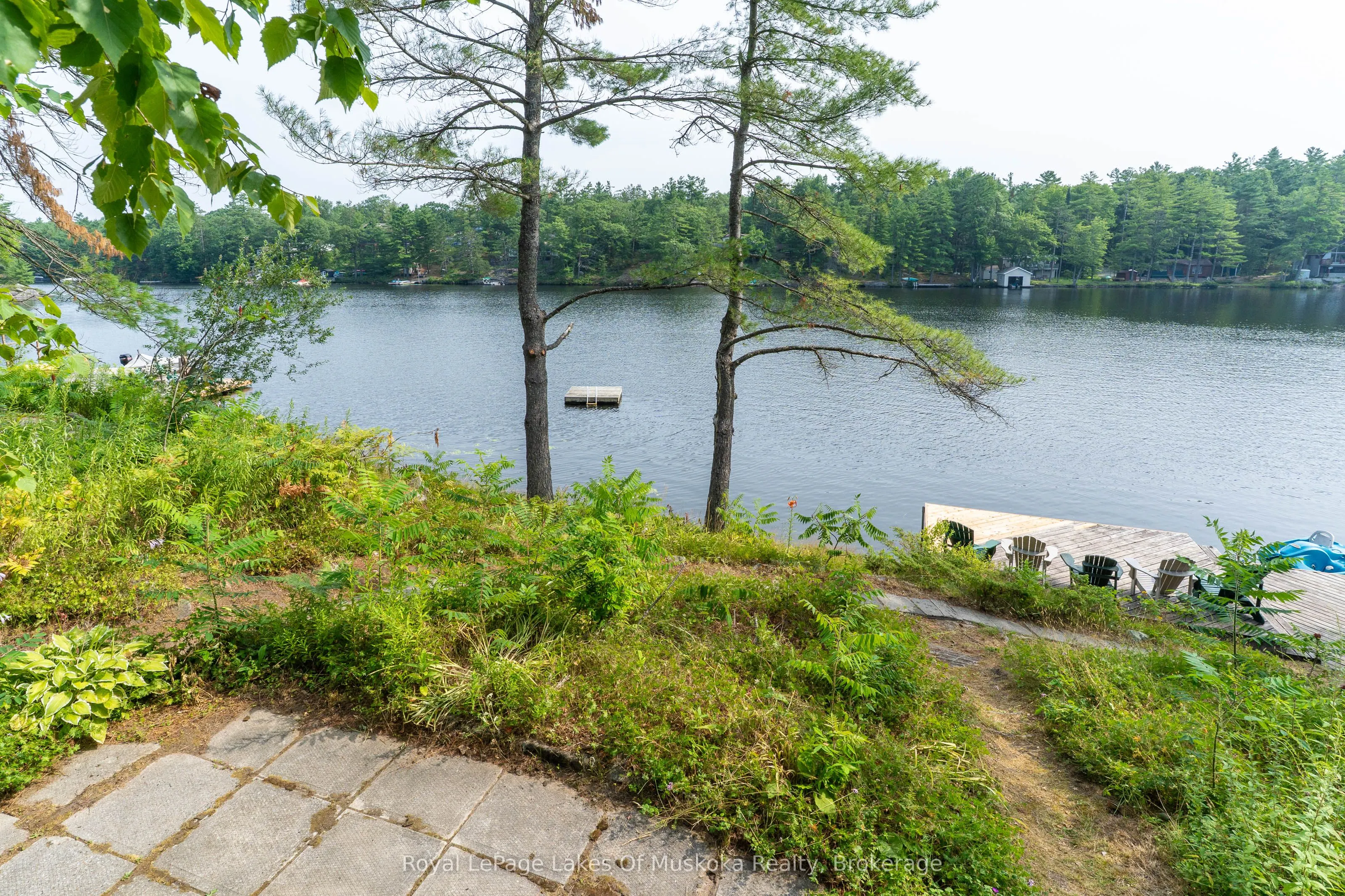 49 Pinetree Road