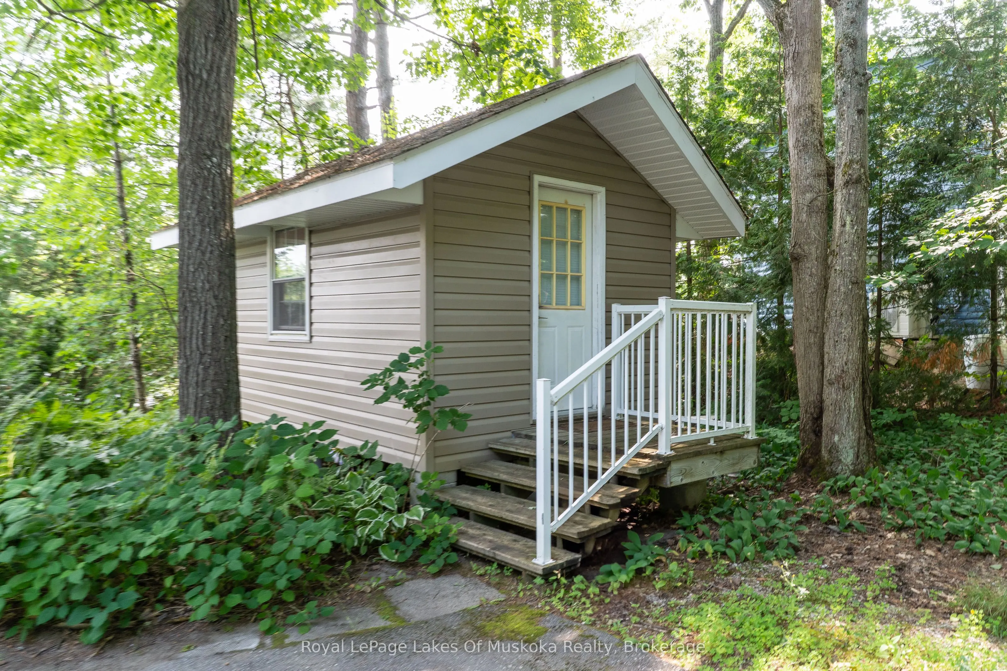 49 Pinetree Road