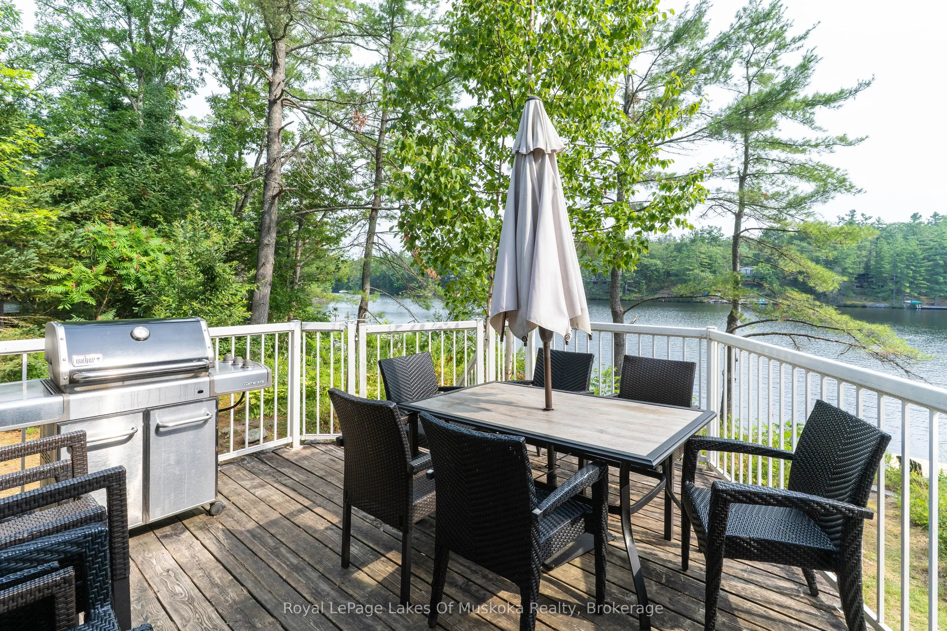 49 Pinetree Road