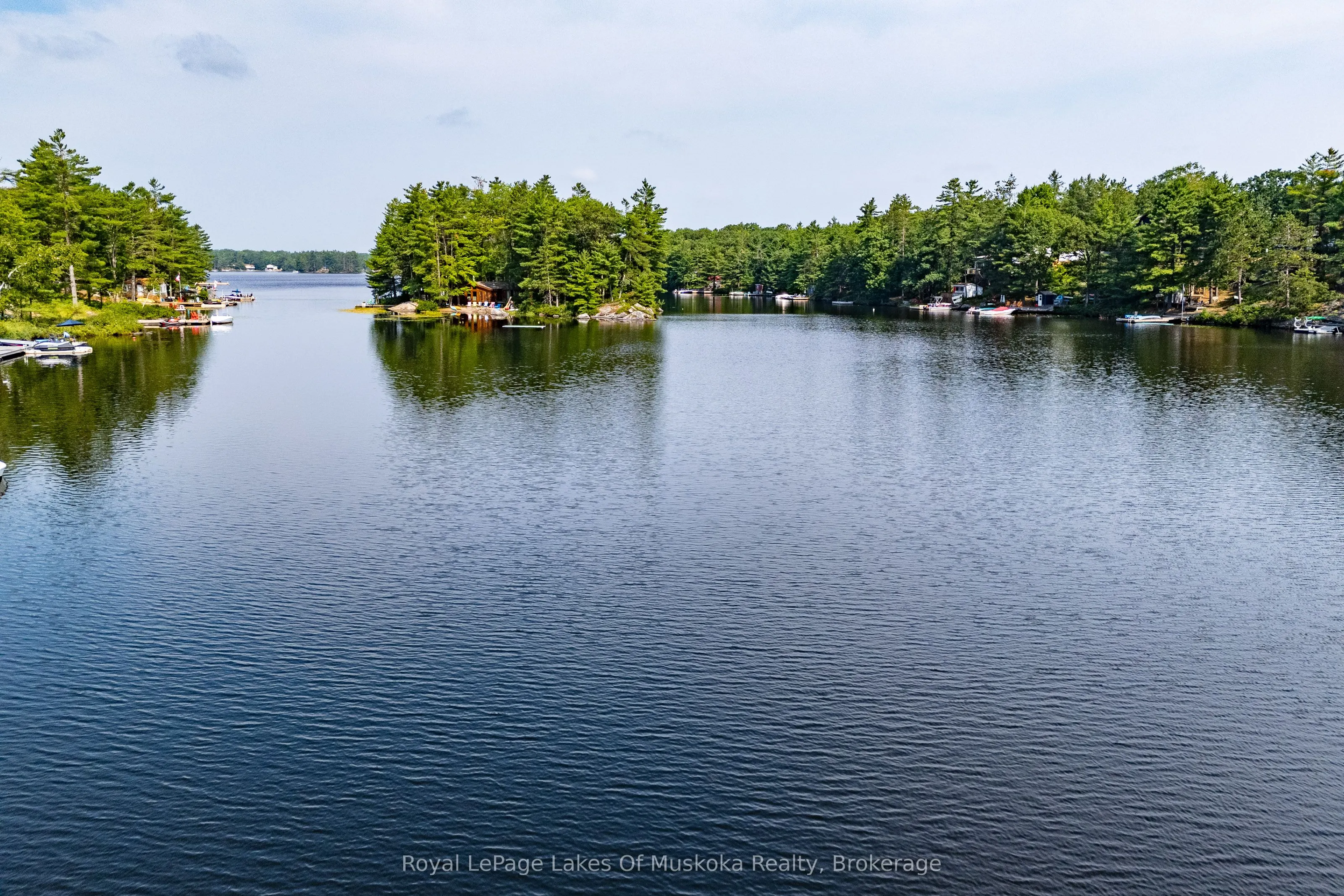 49 Pinetree Road