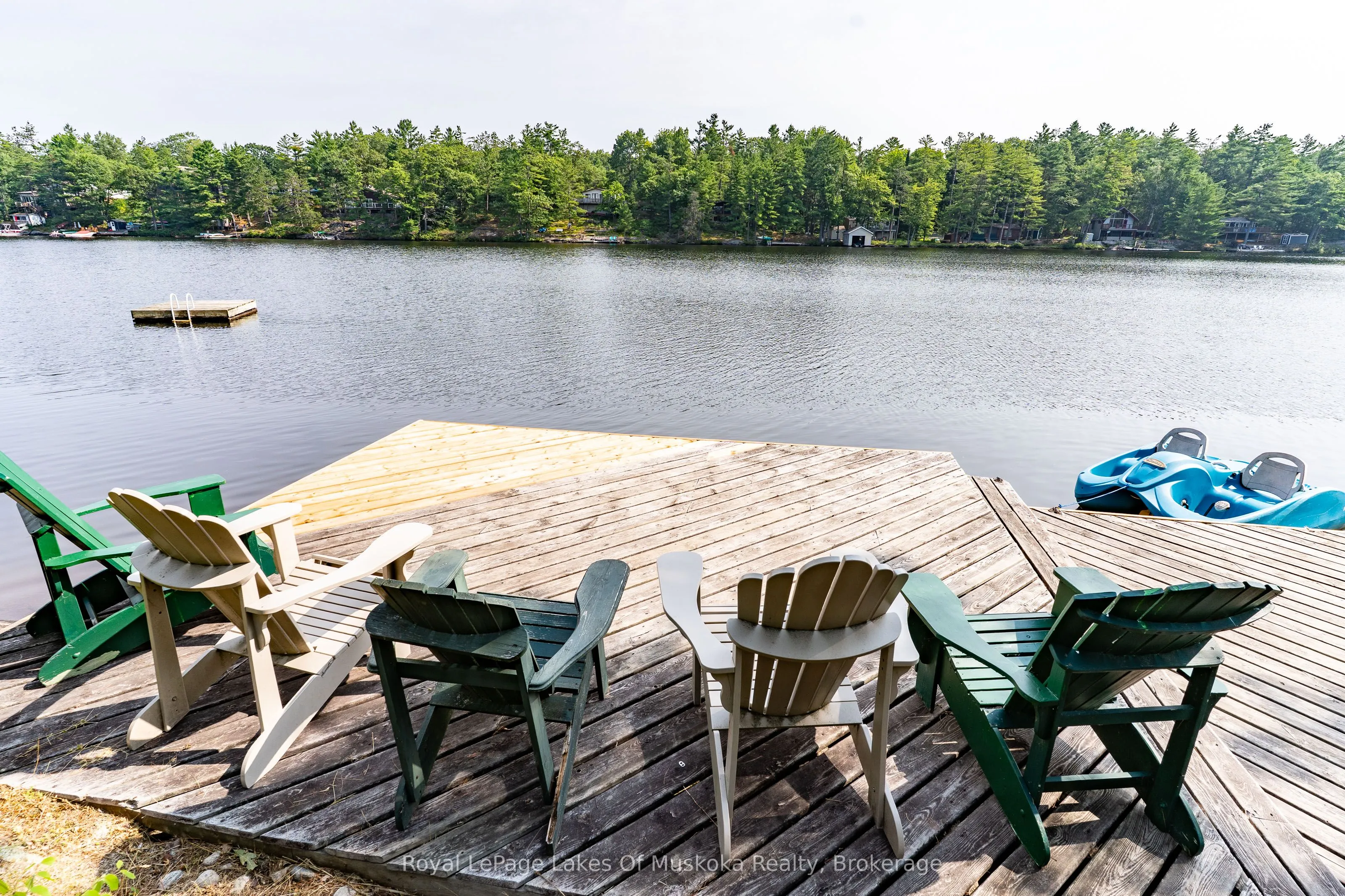 49 Pinetree Road