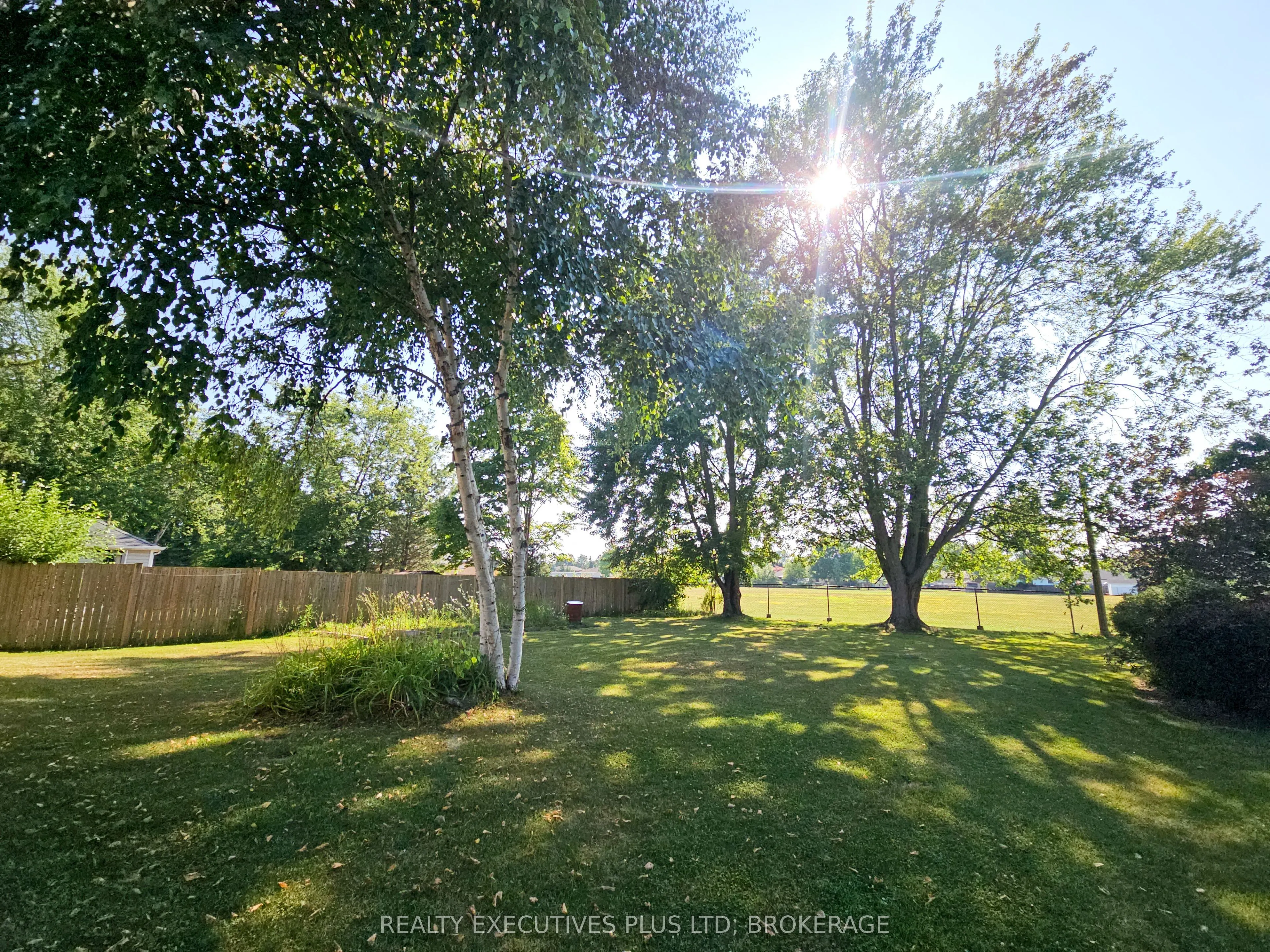 99 Carlton Avenue