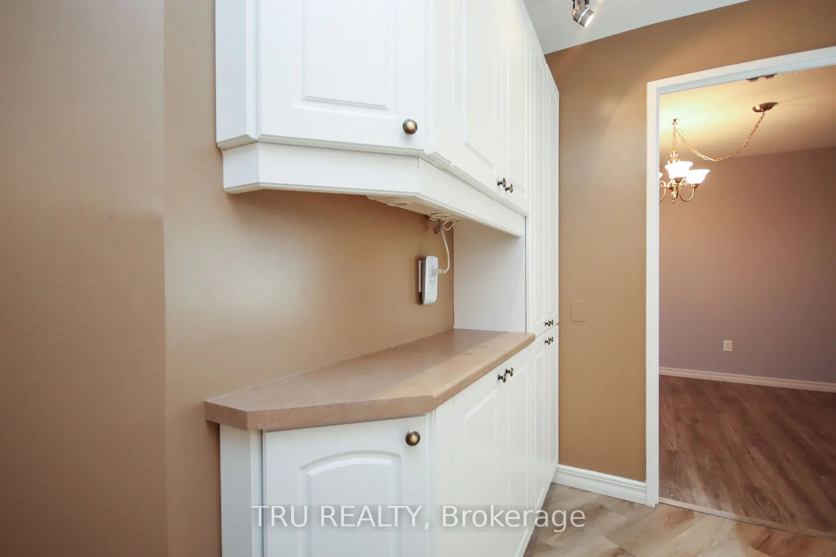 1081 AMBLESIDE Drive, #1604