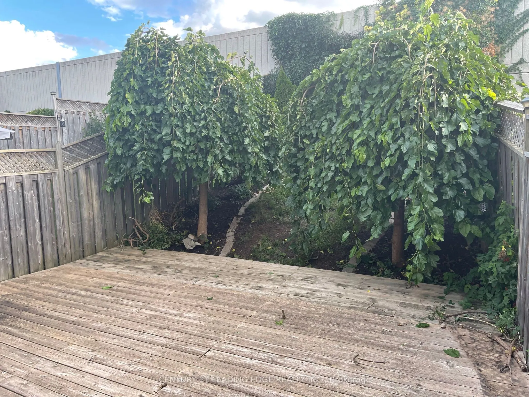 24 WHITEFISH Crescent
