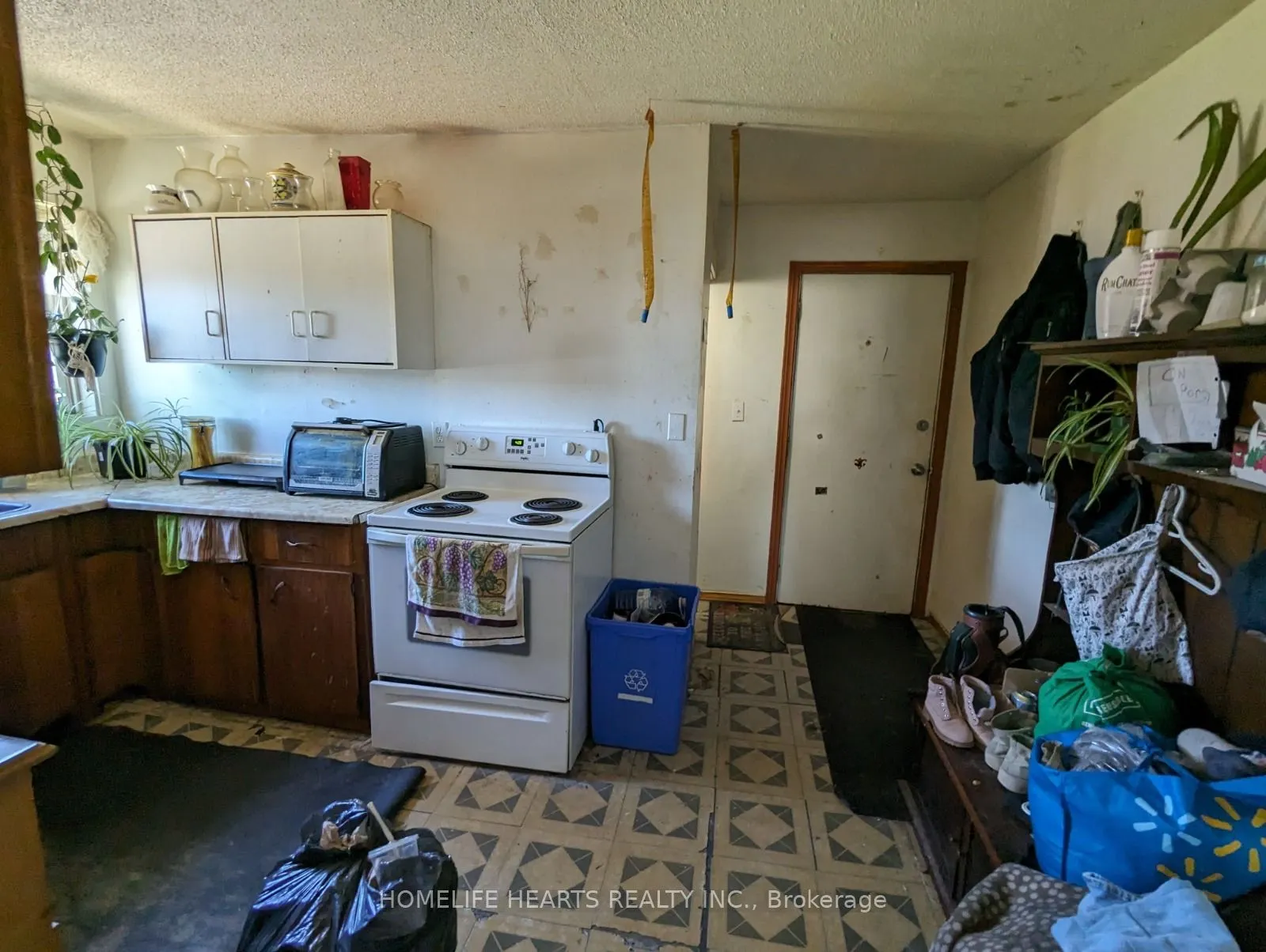 223 Jean Street
