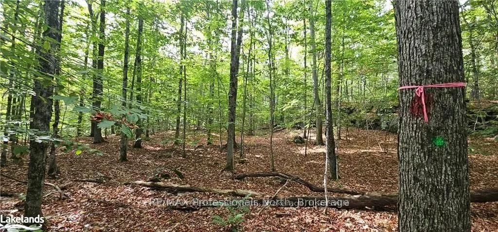 00 SOUTH HORN LAKE Road