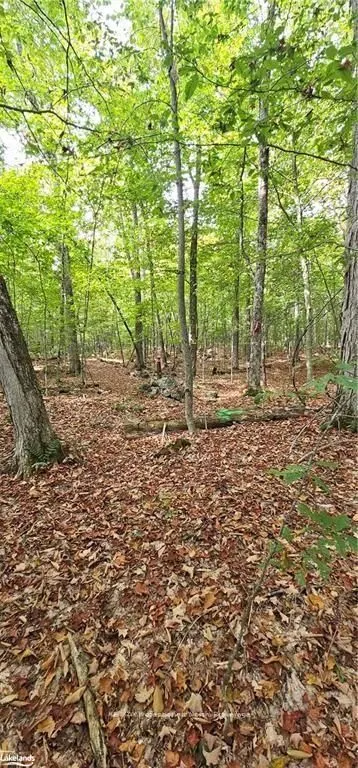 00 SOUTH HORN LAKE Road