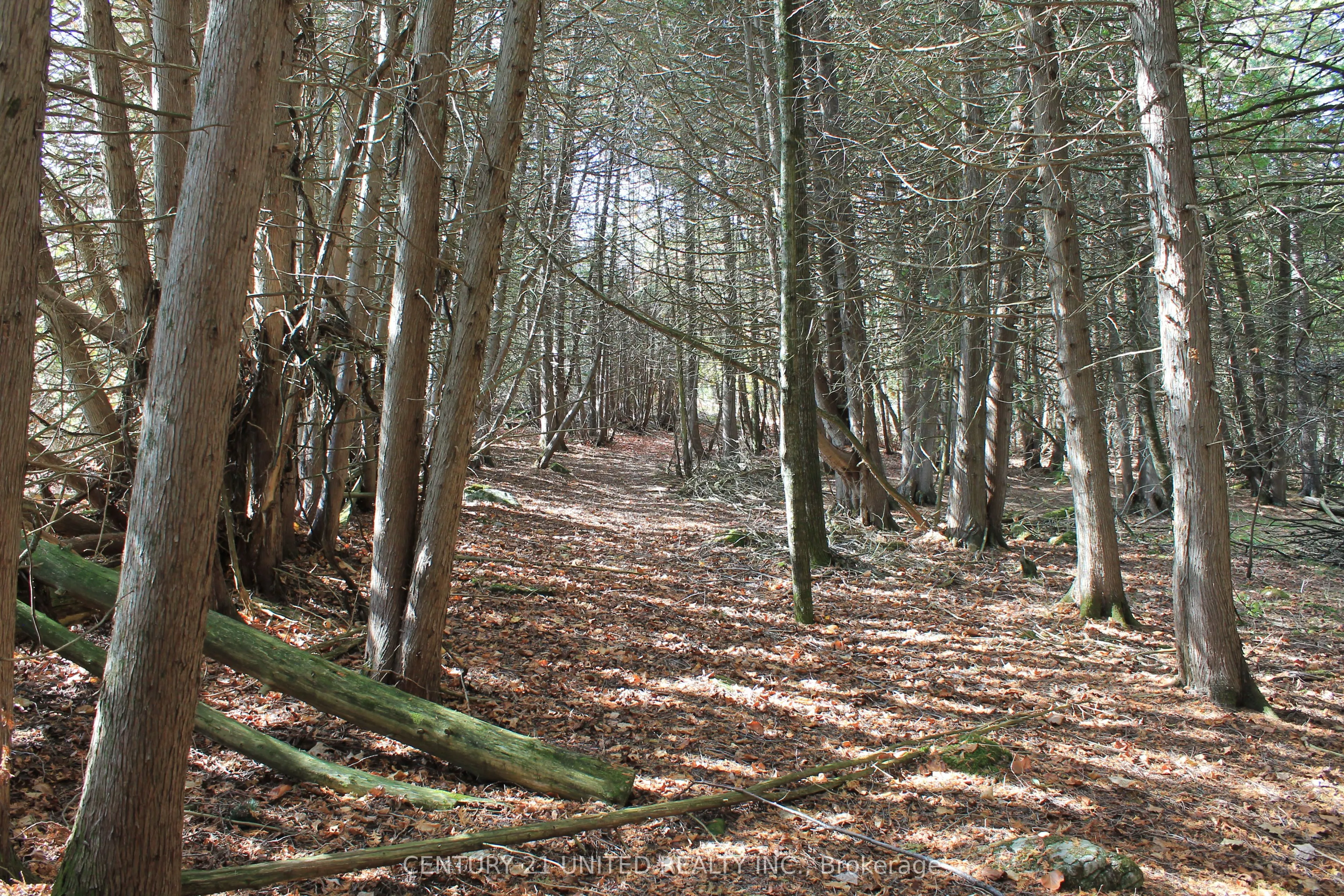 257 10th Line Rd South Dummer Road