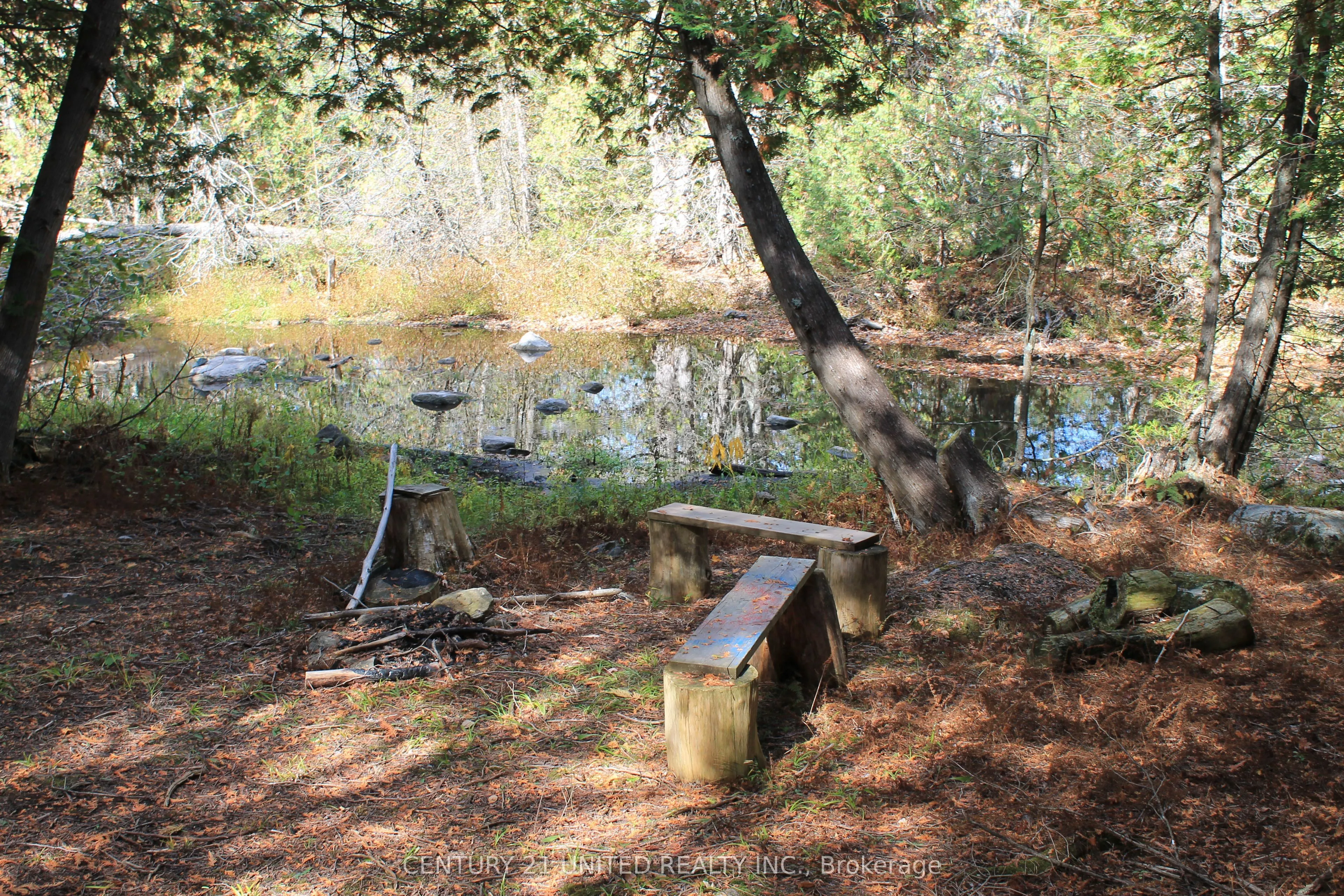 257 10th Line Rd South Dummer Road