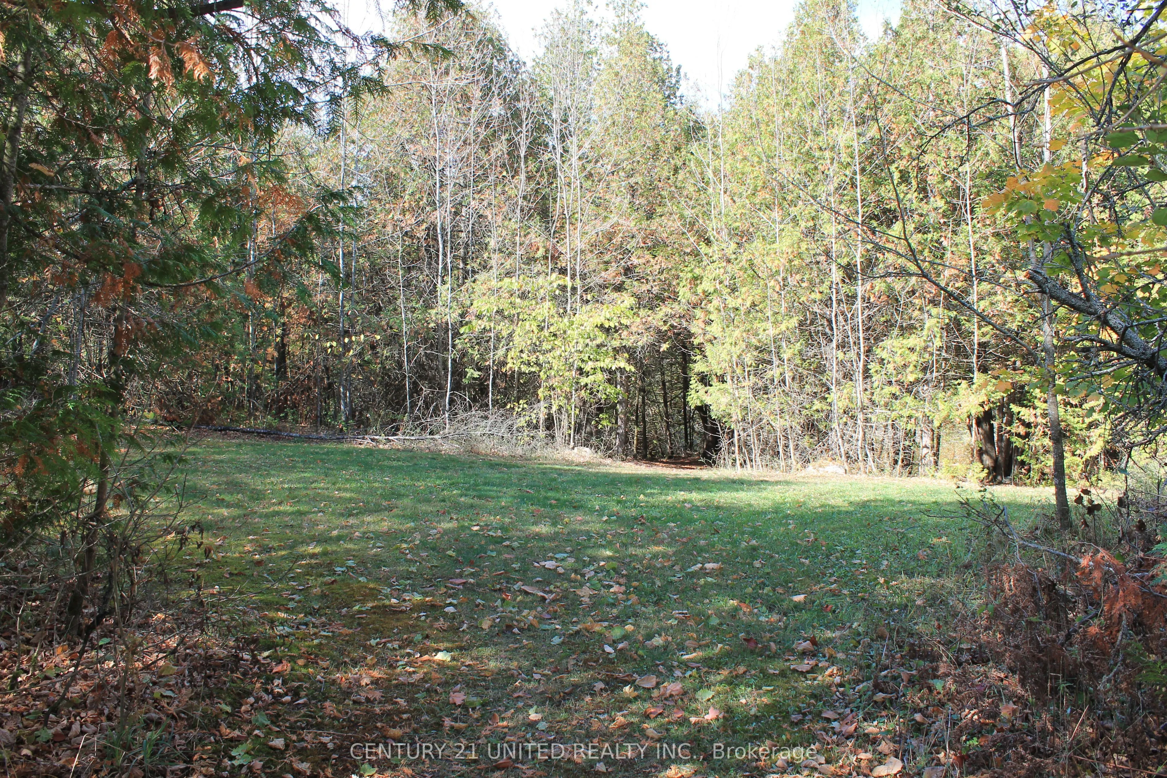 257 10th Line Rd South Dummer Road