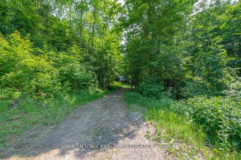 9297 Highway 118 E