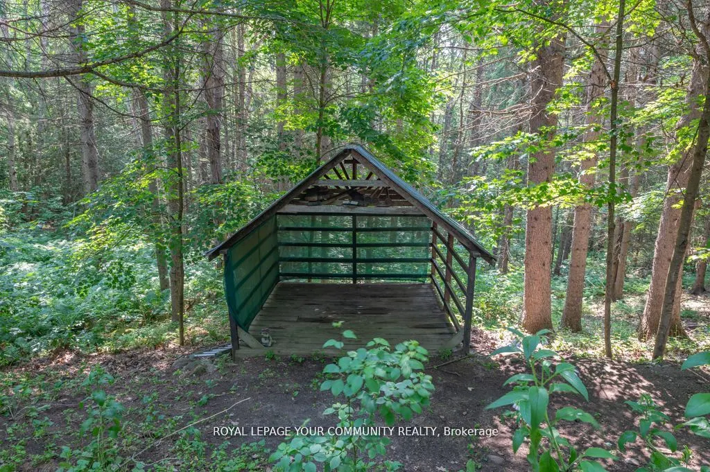 9297 Highway 118 E