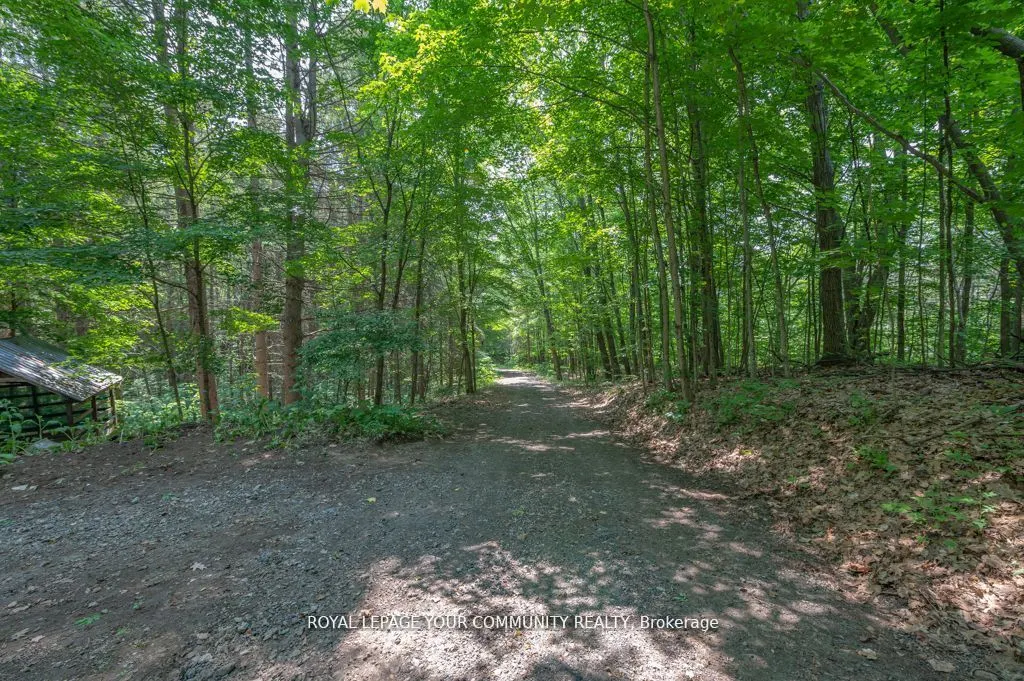 9297 Highway 118 E