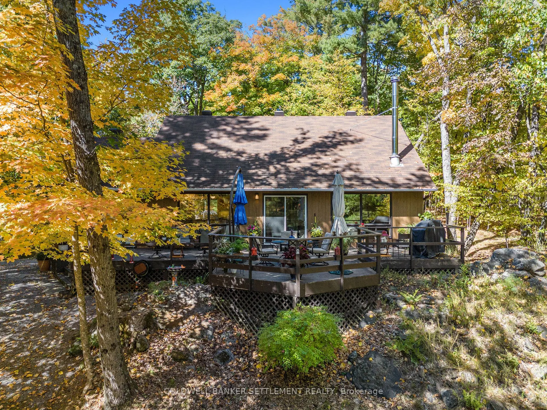 215 Scott Court