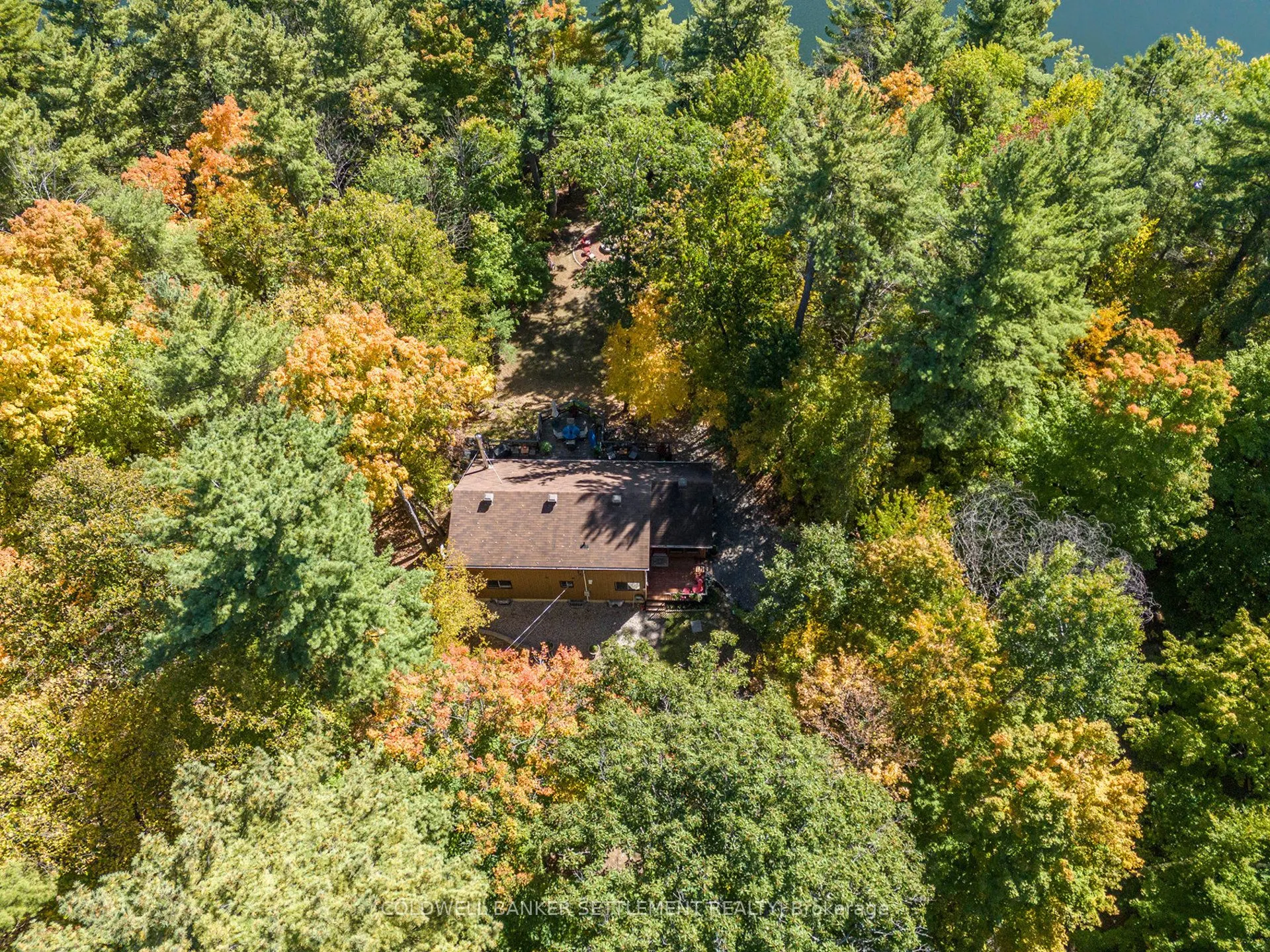 215 Scott Court