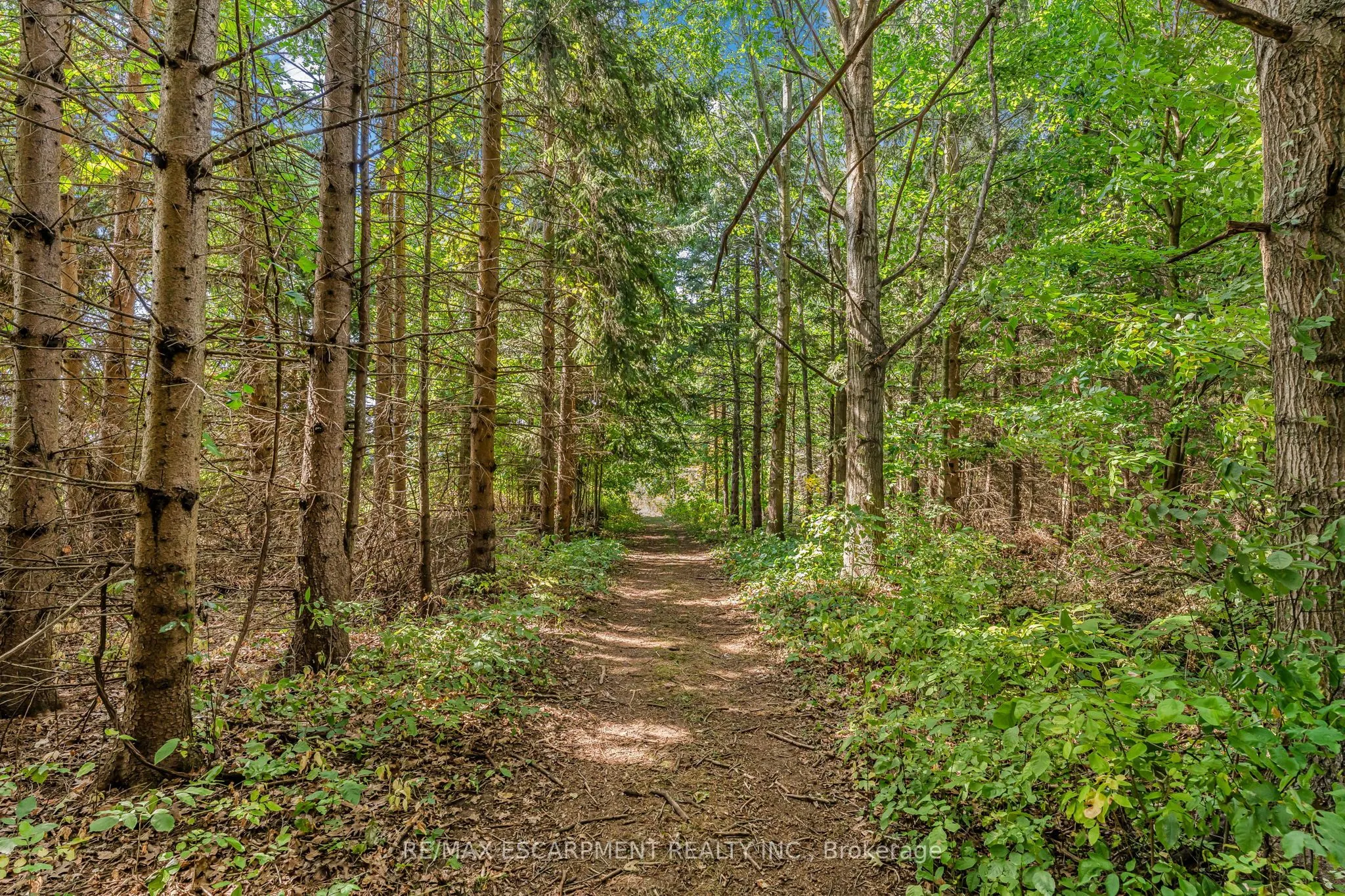927 Wainfleet/Dunnville Townline Road