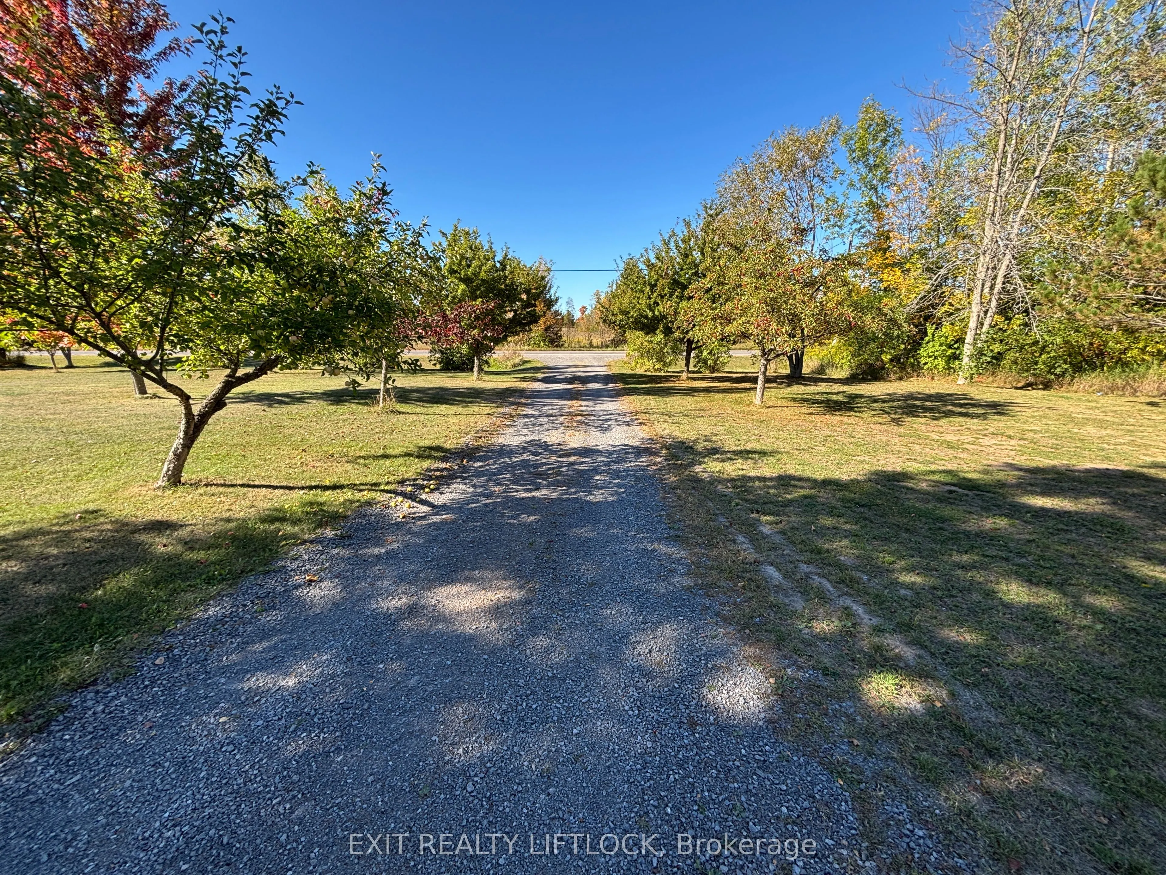 2725 Dummer Asphodel Road