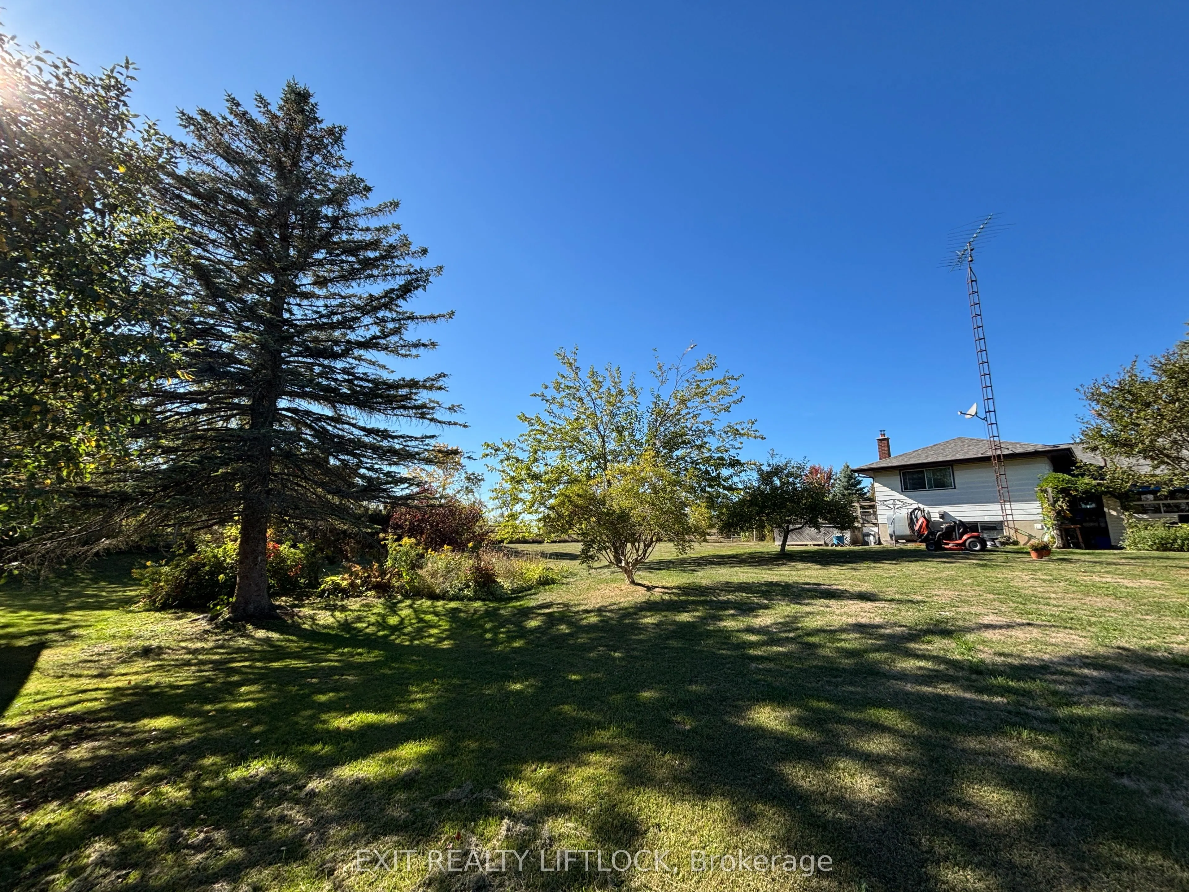 2725 Dummer Asphodel Road