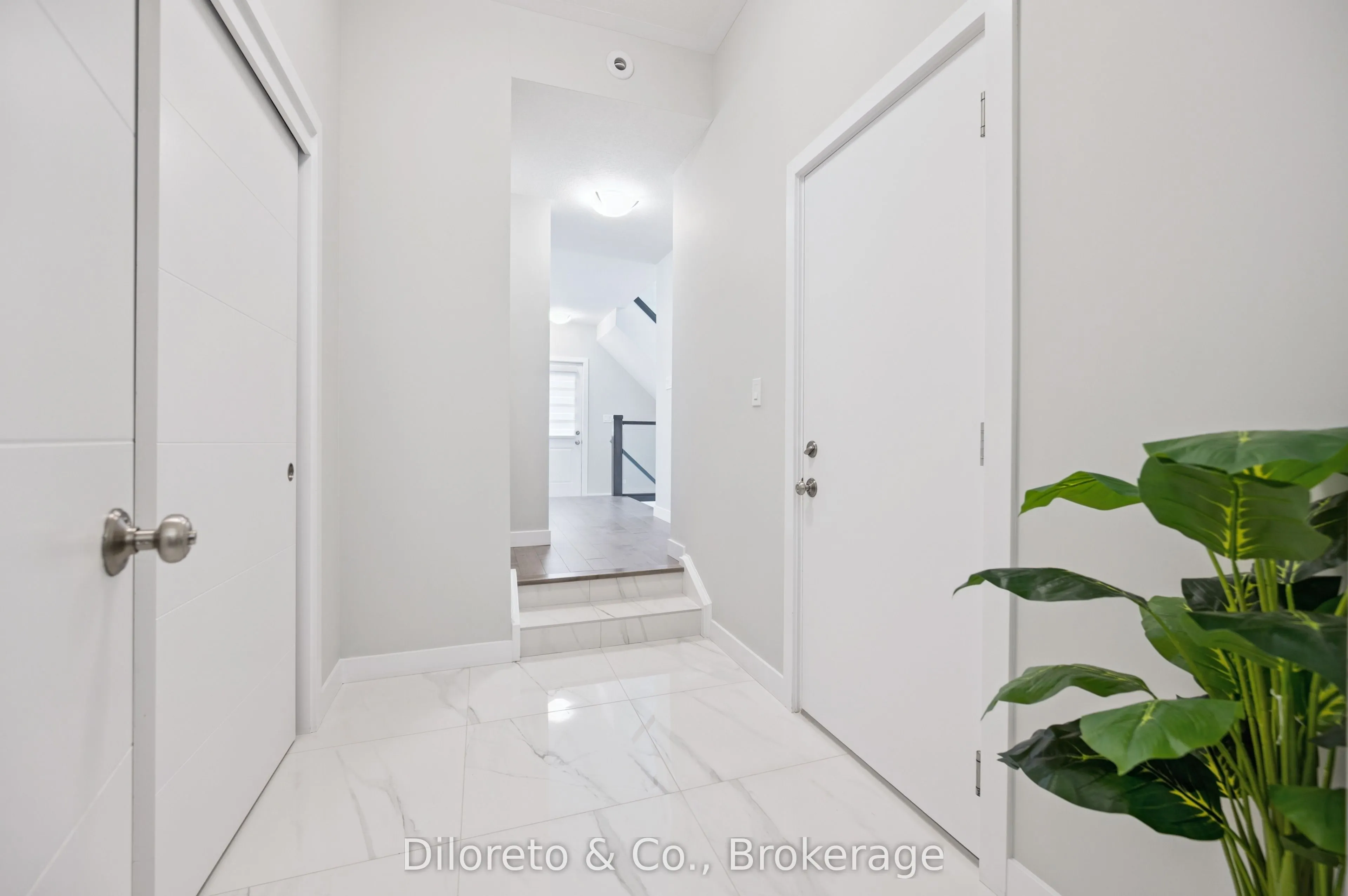 8 Ryder Avenue