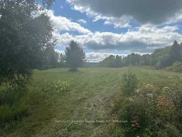 629 WASING Road