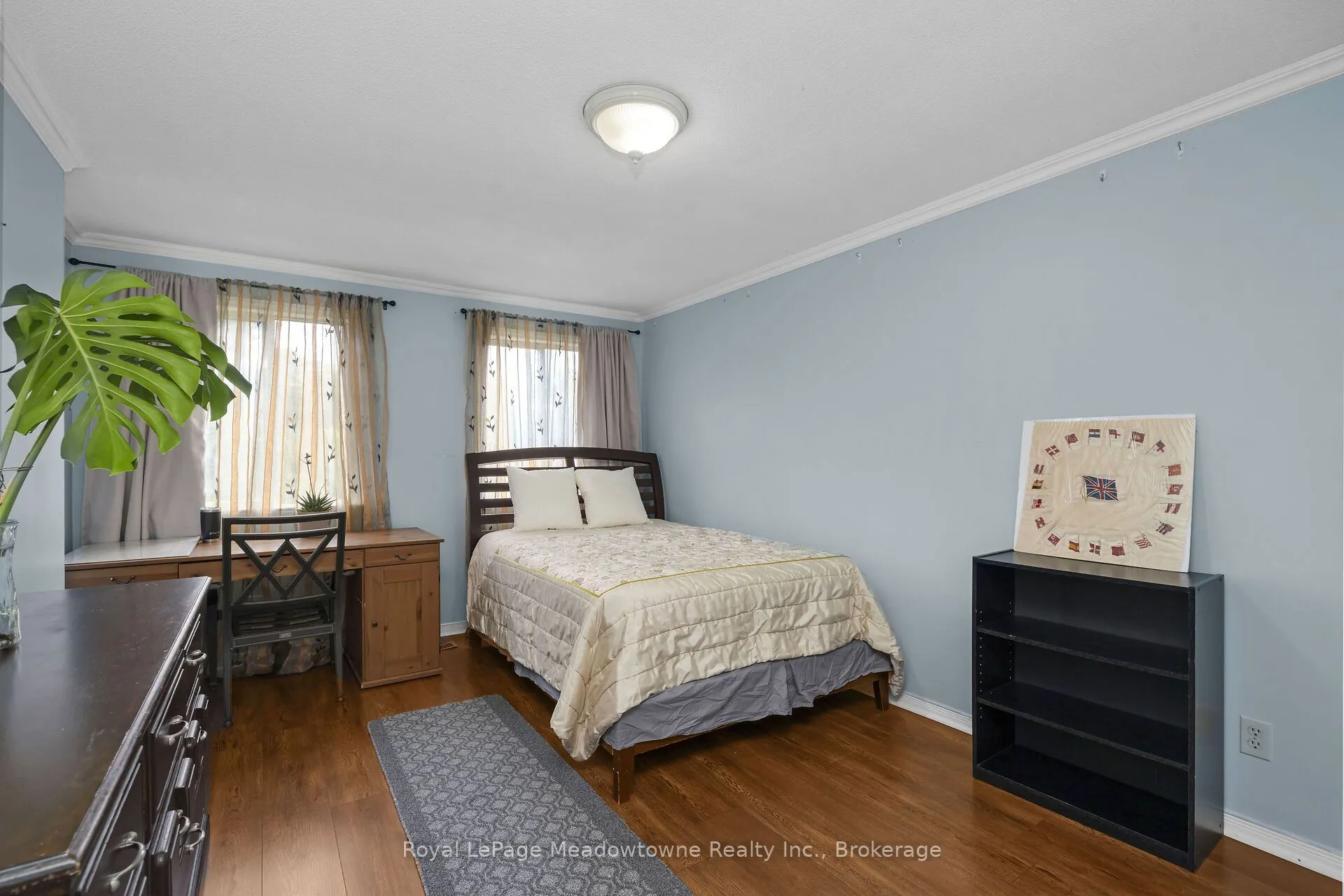 11 Valeriote Place