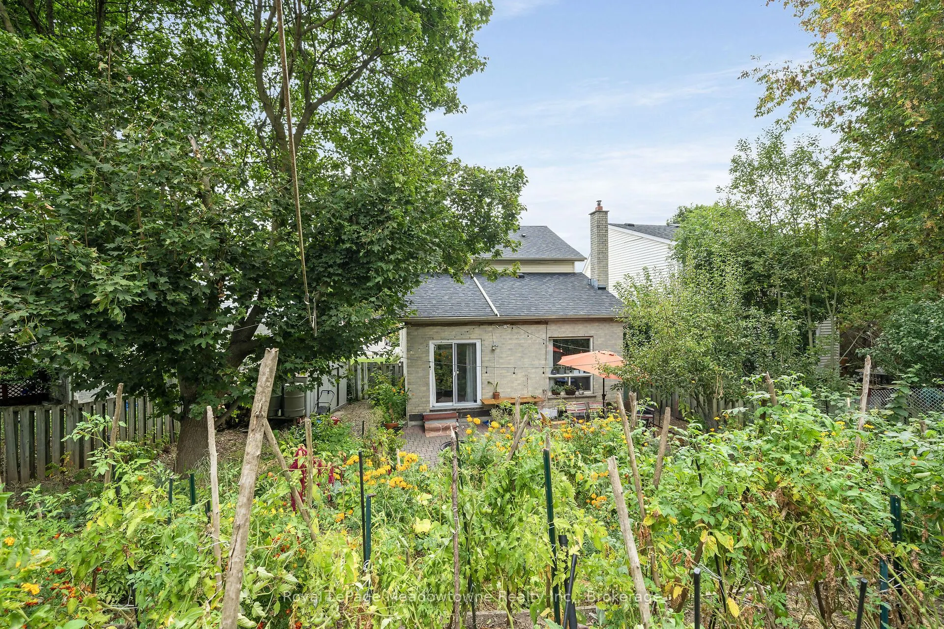 11 Valeriote Place