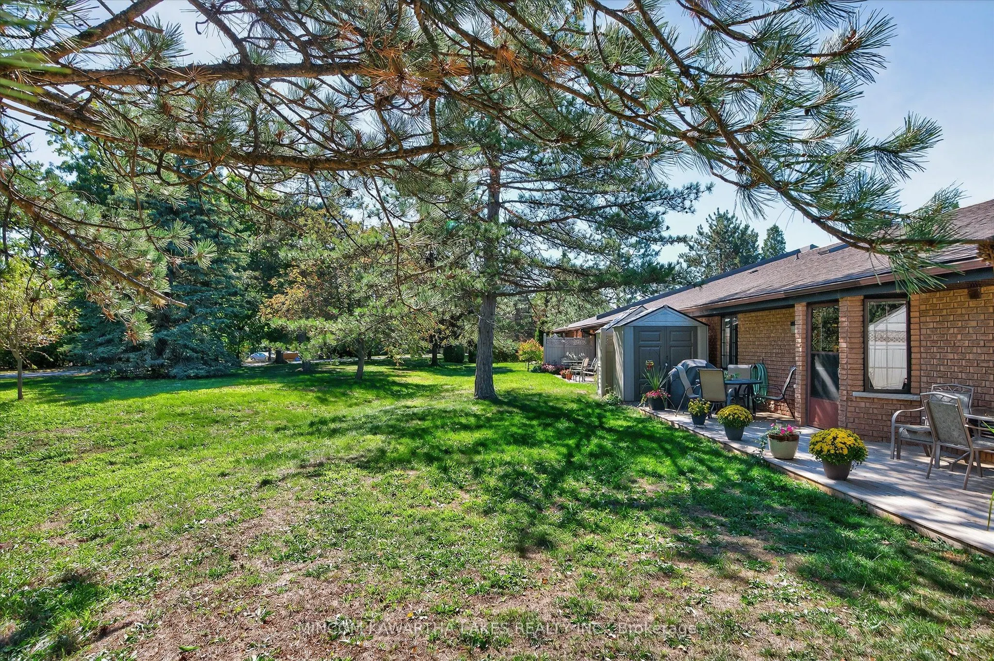 11 Paddock Wood, #6