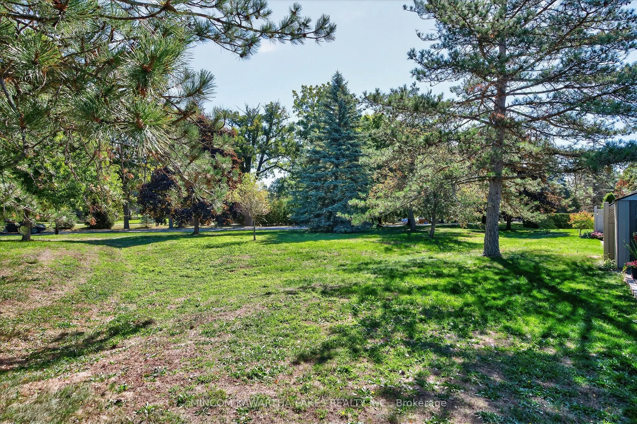 11 Paddock Wood, #6