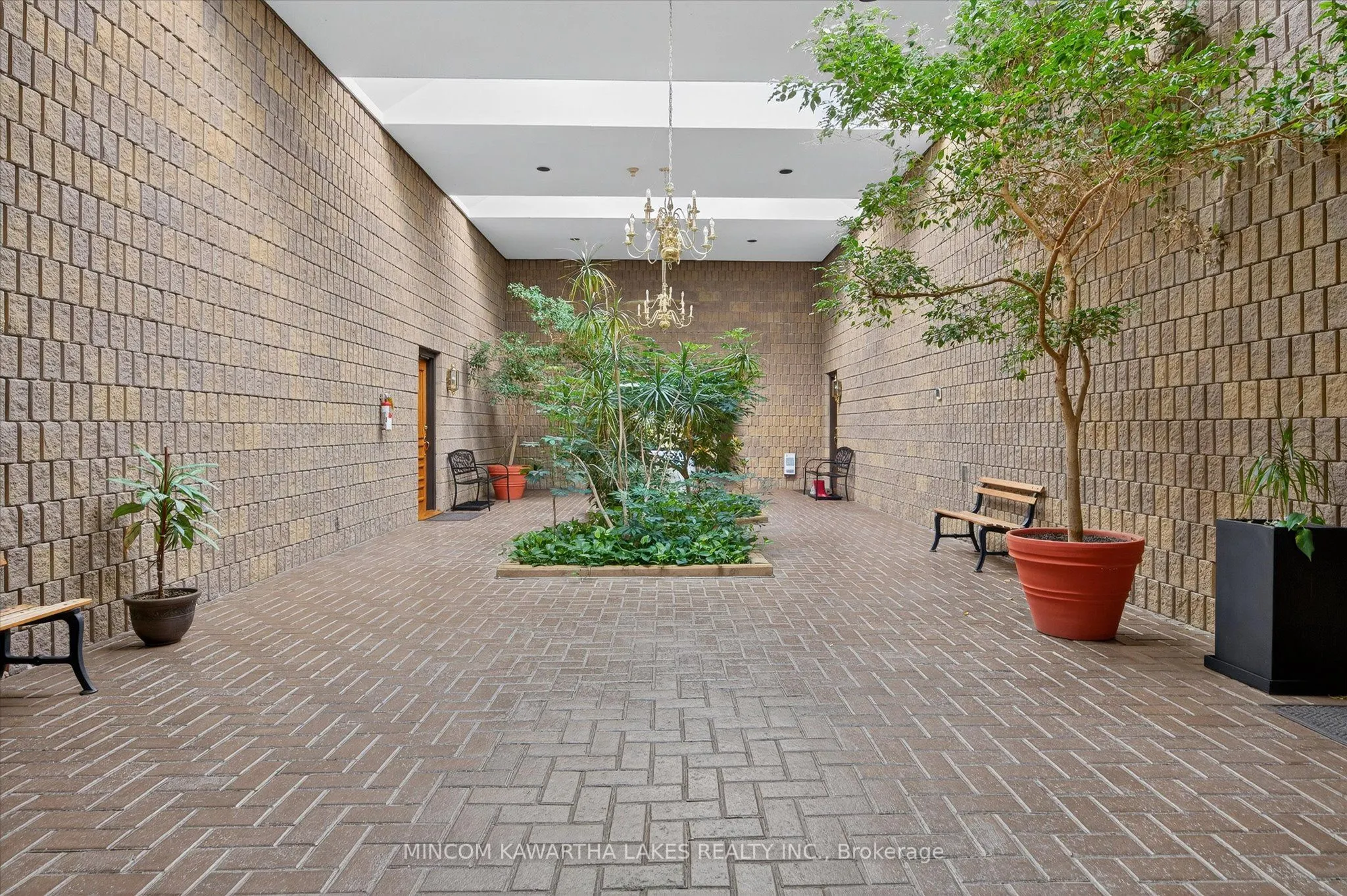 11 Paddock Wood, #6