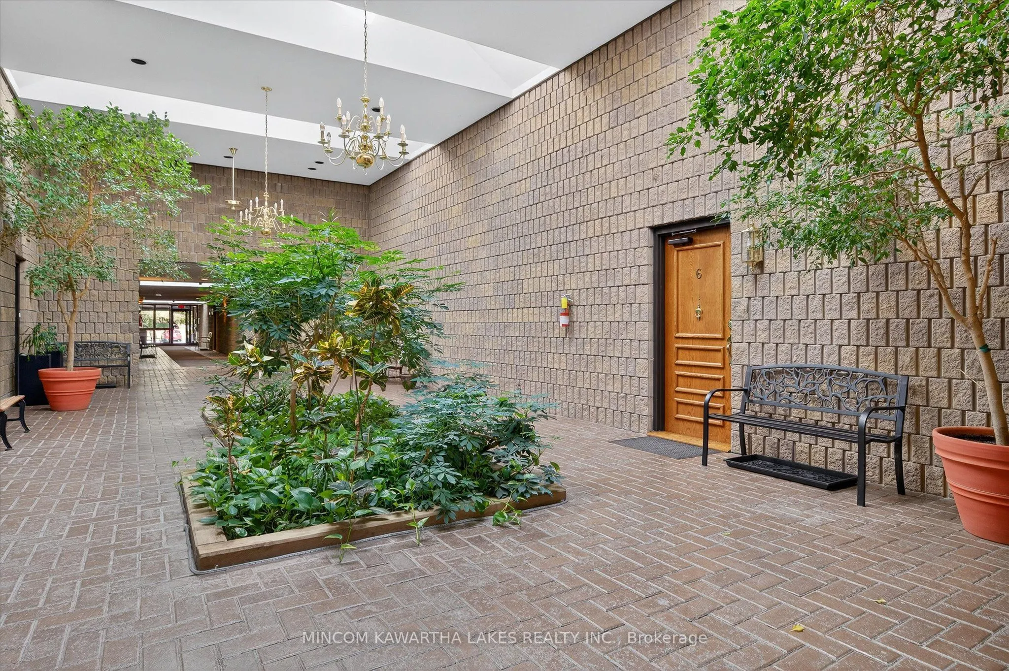 11 Paddock Wood, #6