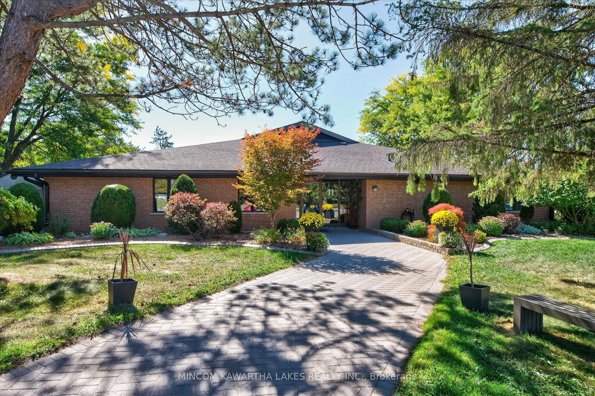 11 Paddock Wood, #6