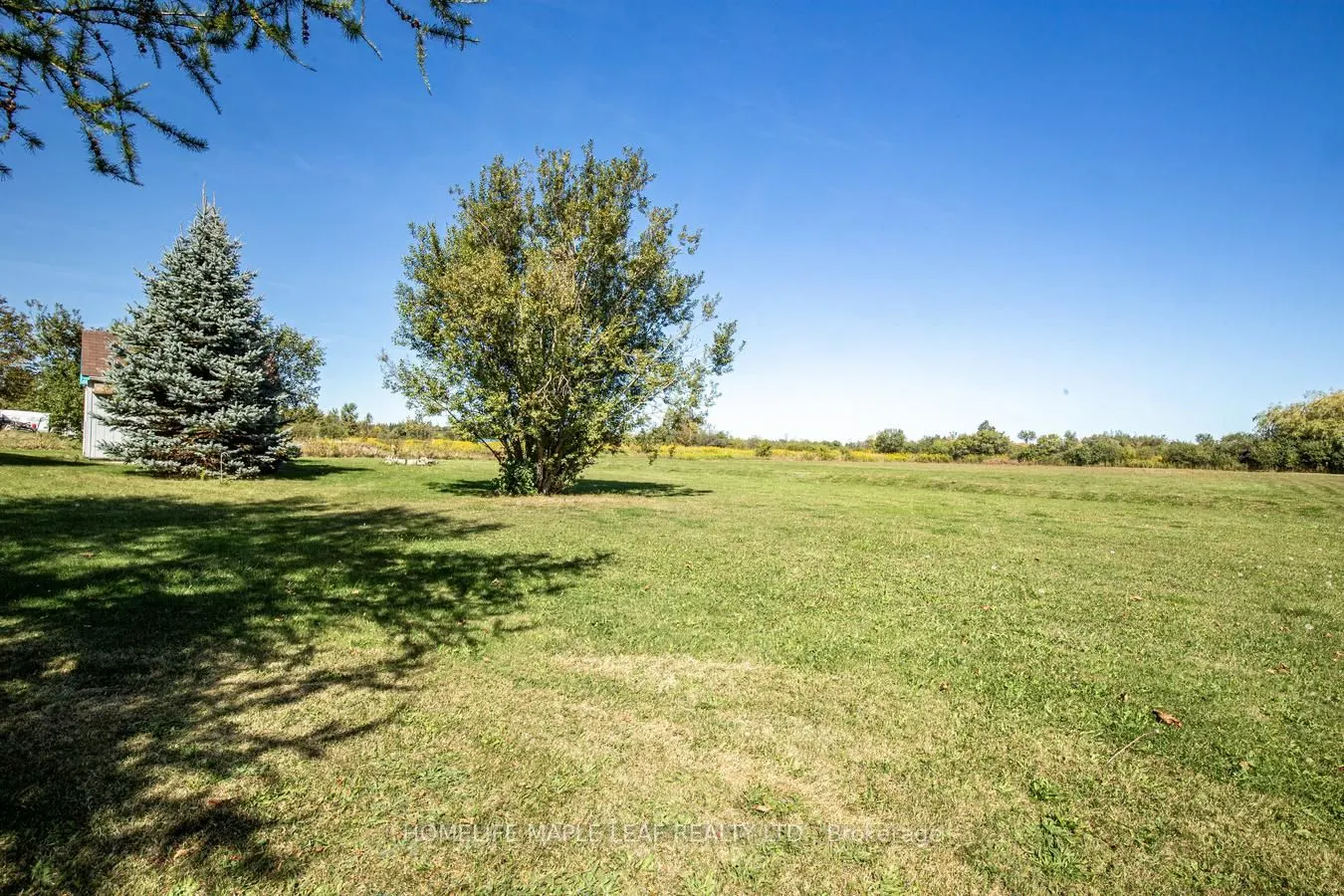 473377 County Road 11