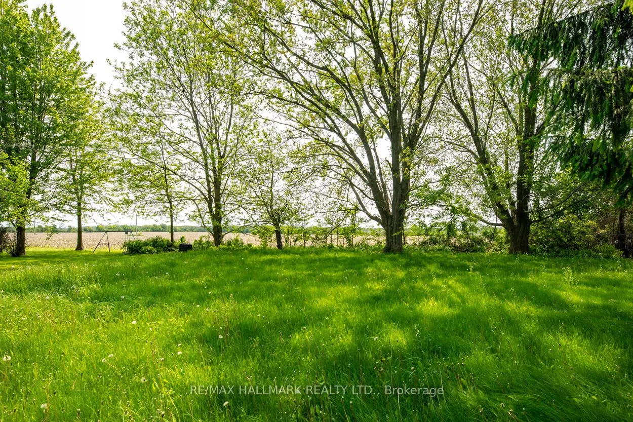 154 County Road 28