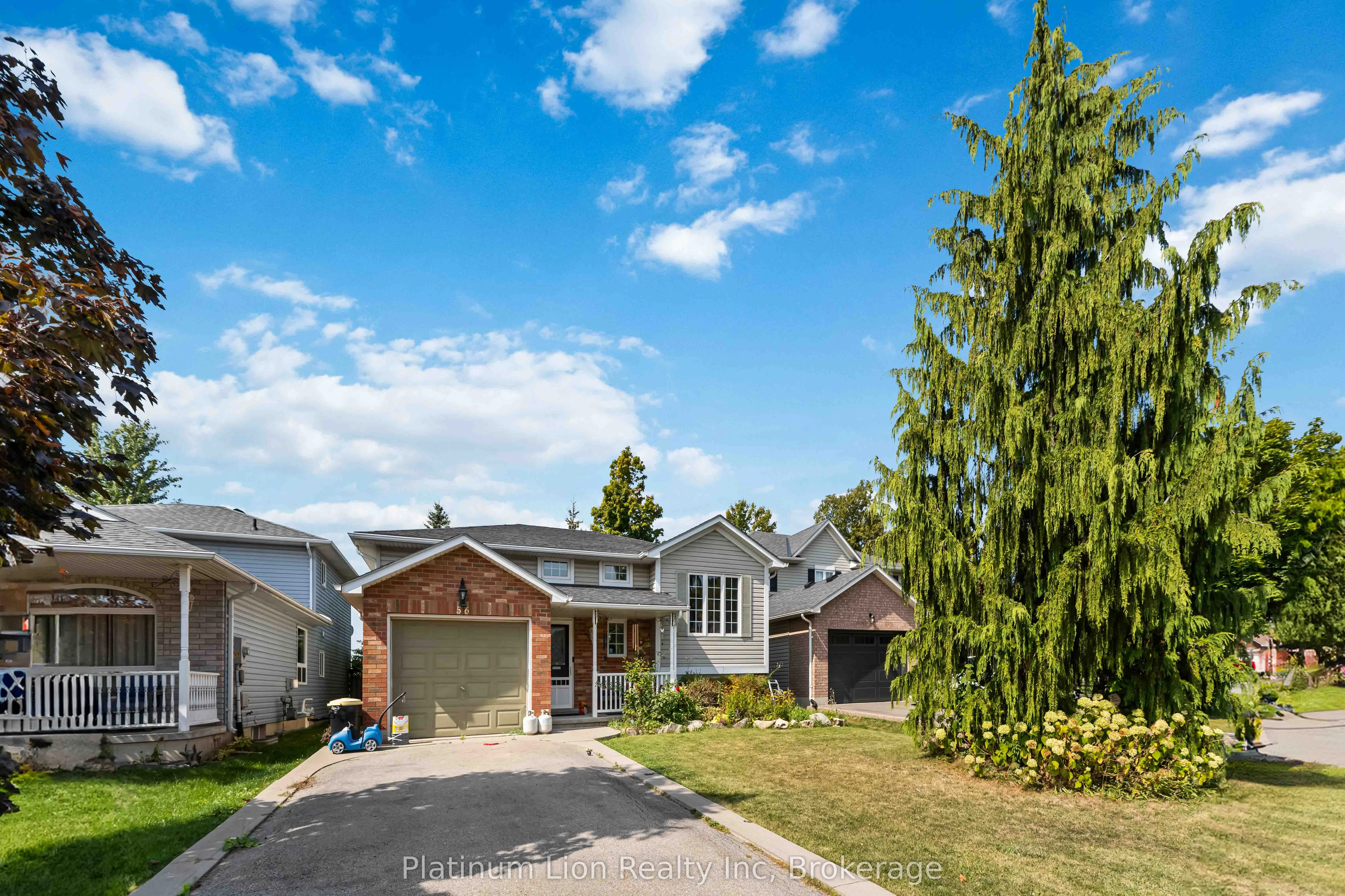 56 Celtic Drive