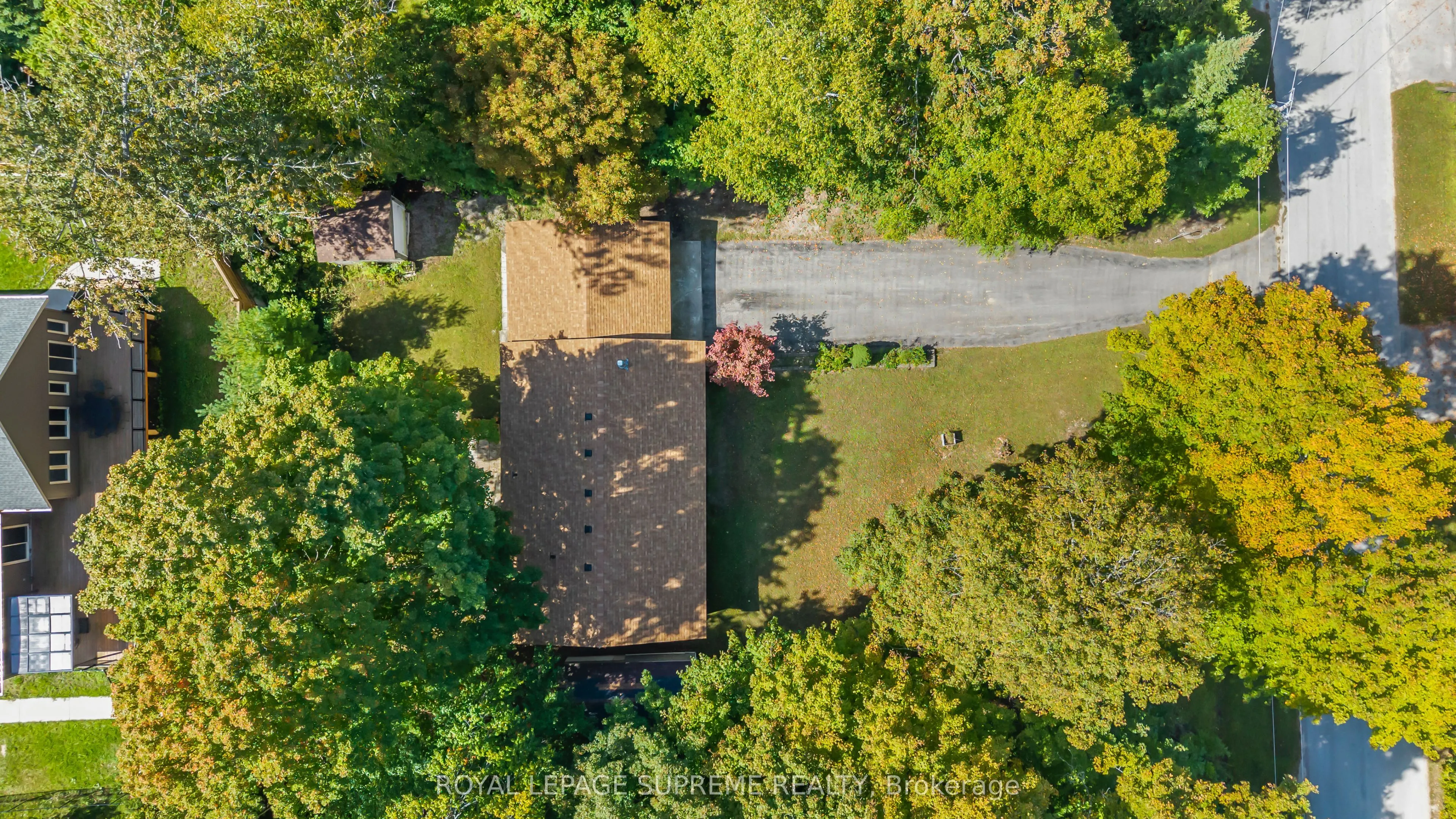 42 Birch Street