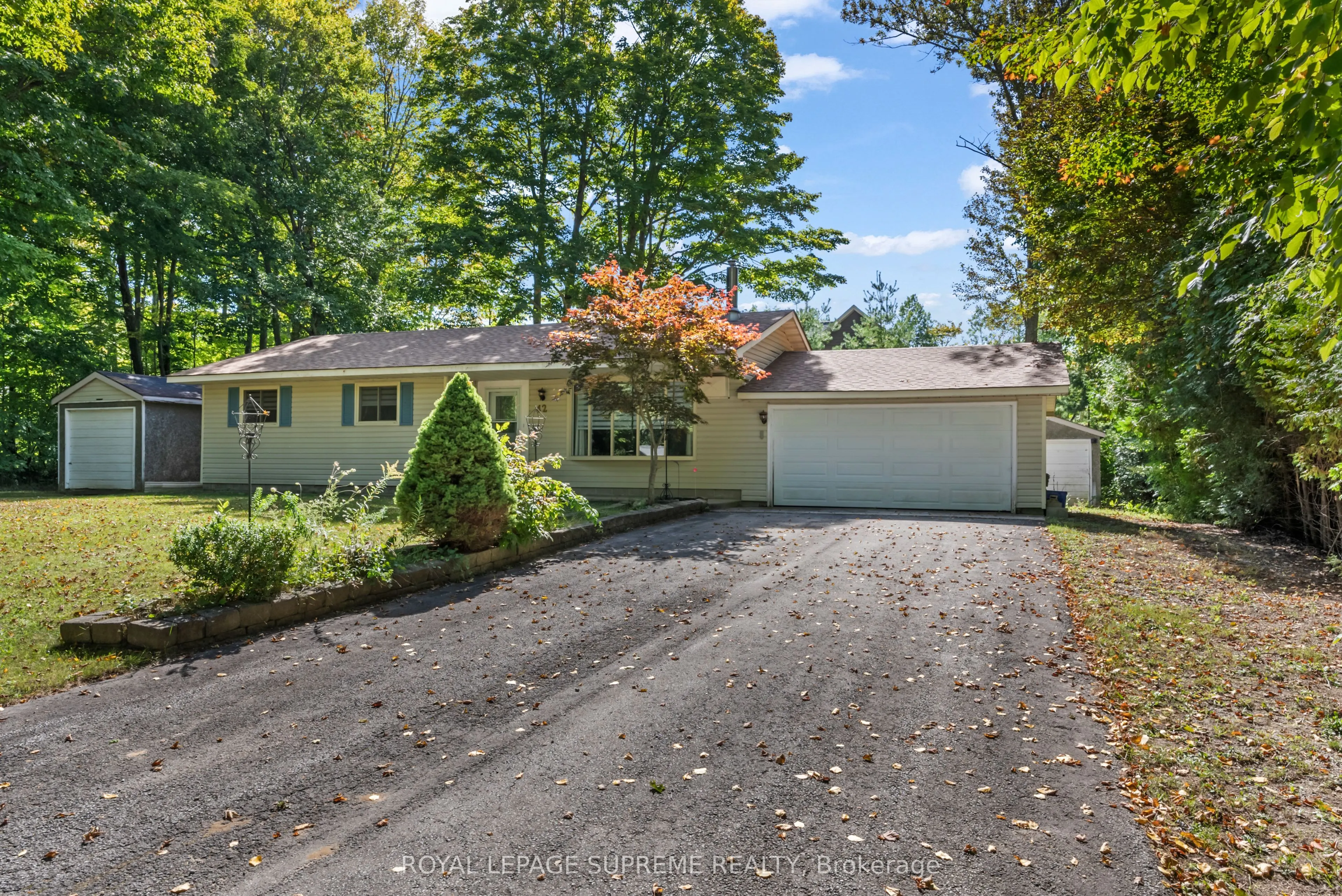 42 Birch Street