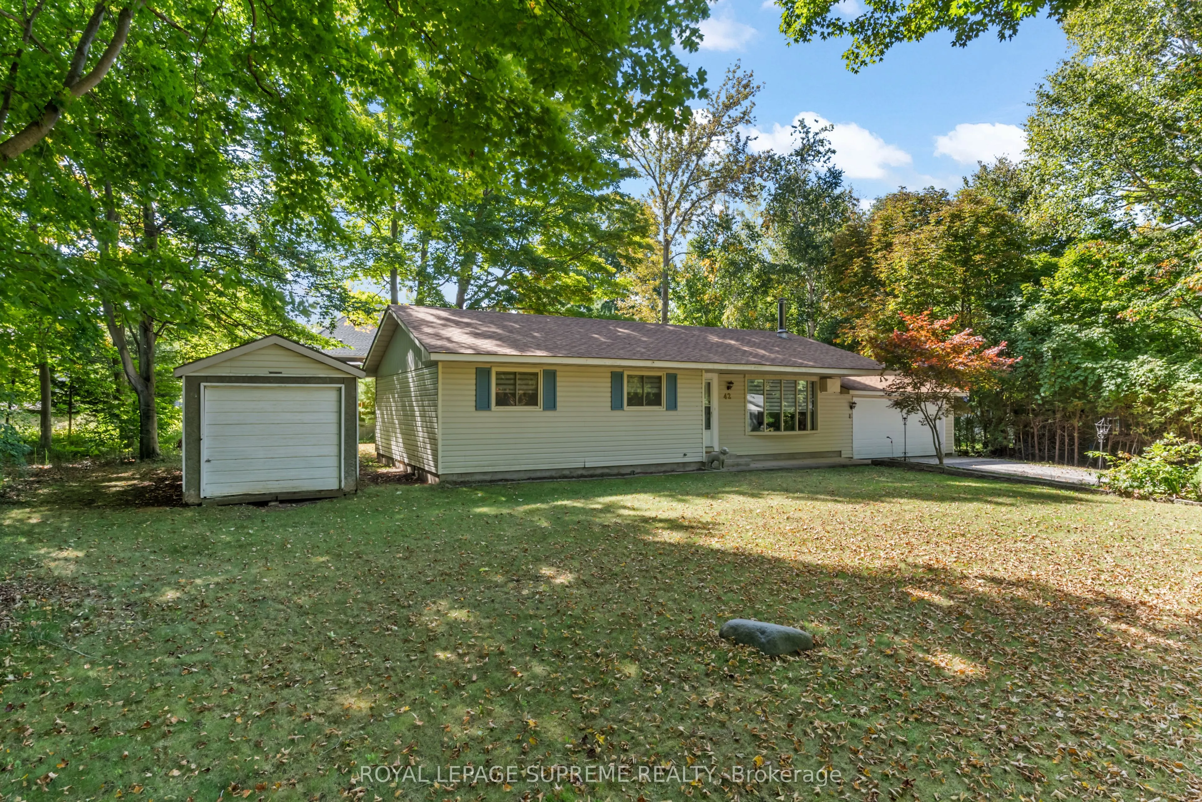 42 Birch Street